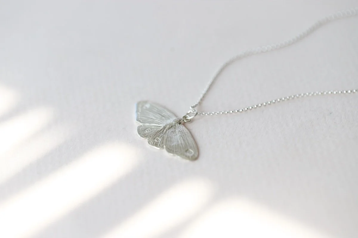 MOTH SIL 7.jpg