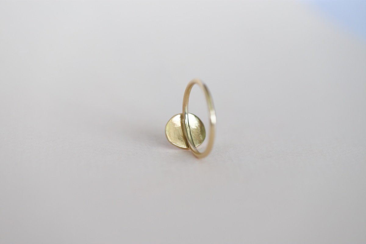 pegasus ring gold 3.jpg