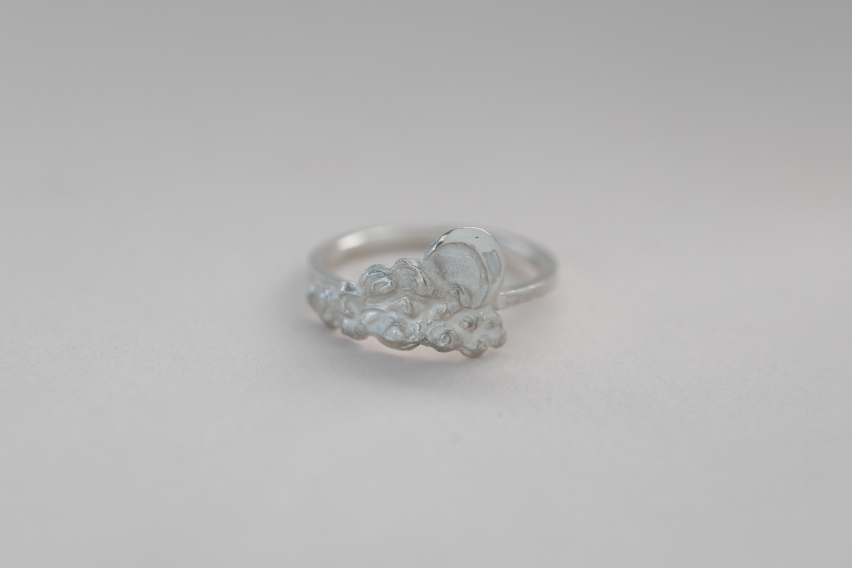 cloud ring 2.png