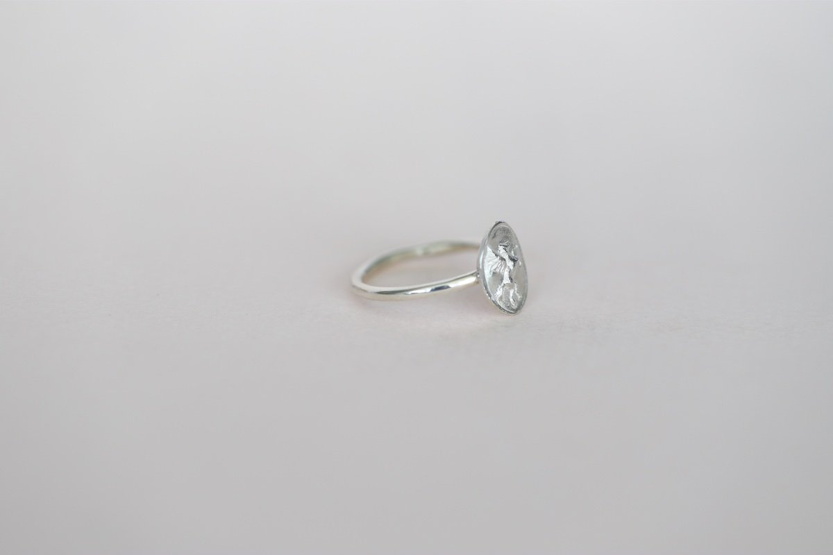 pegasus ring 5.jpg