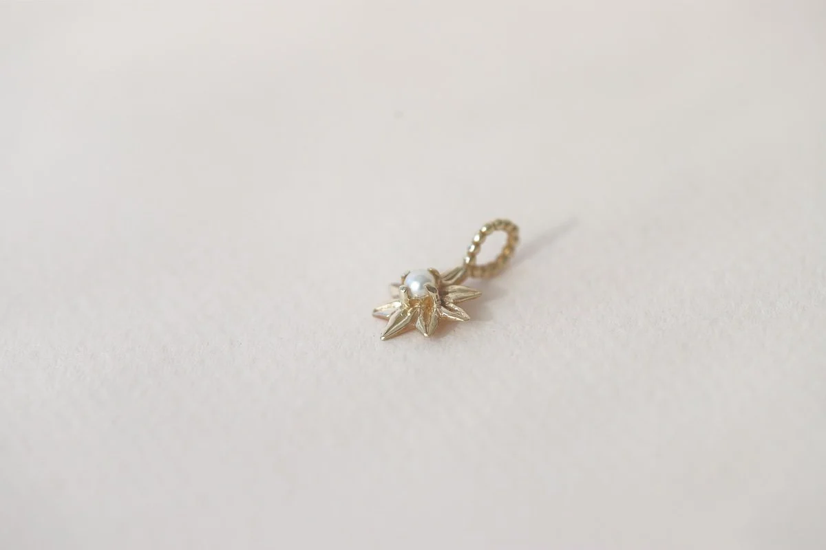 gold pearl star 3.jpg