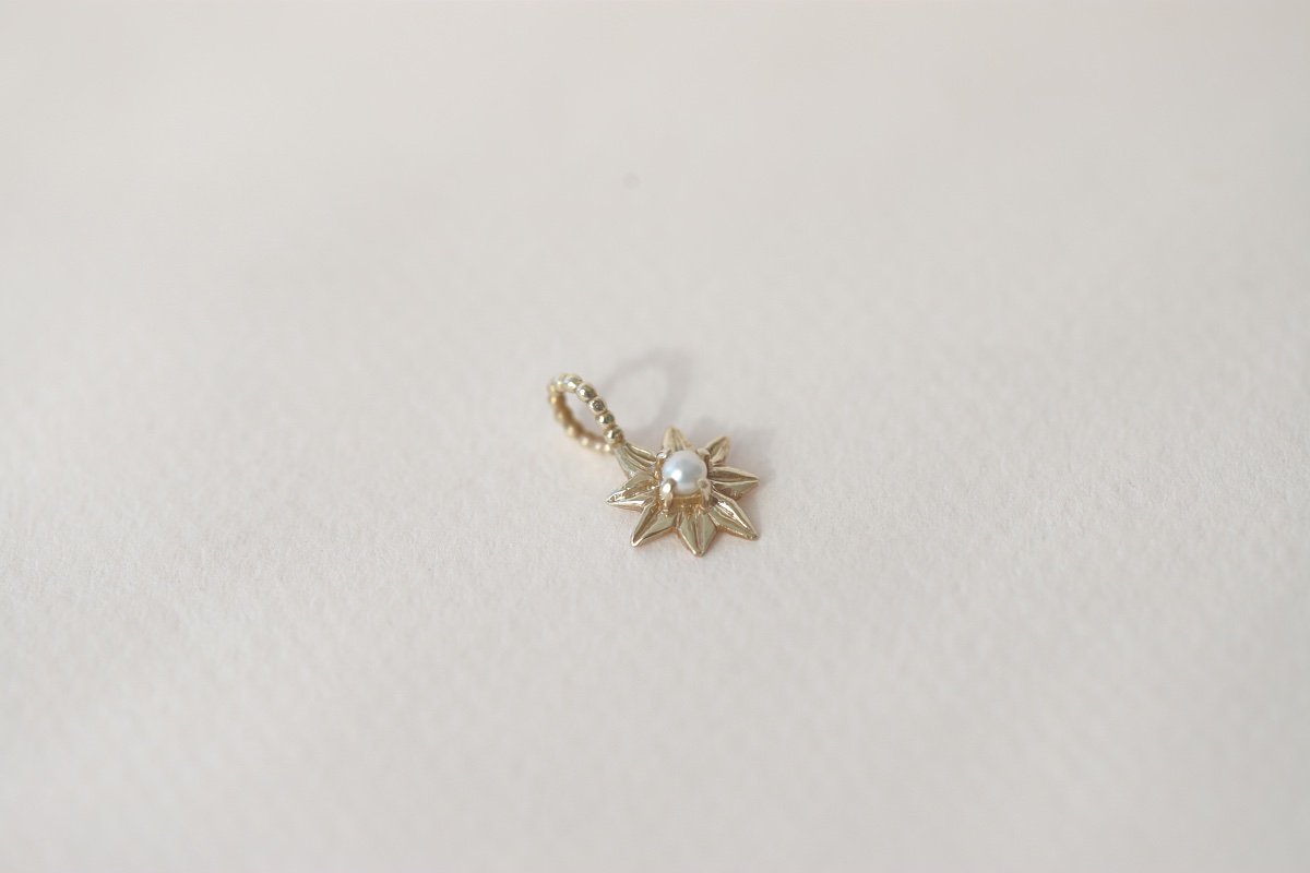 gold pearl star 1.jpg