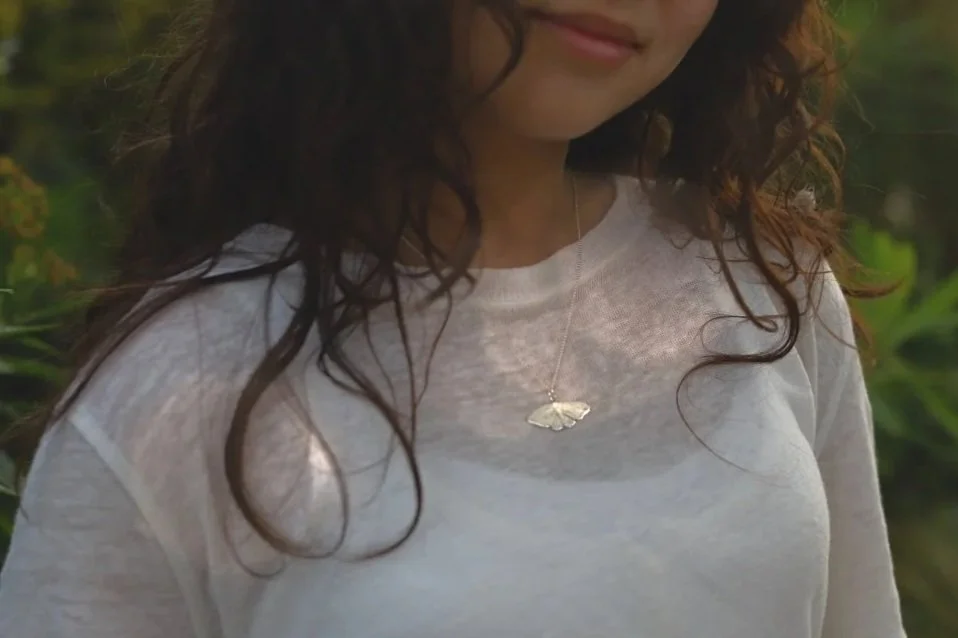 silver+moth+mod+5.jpg