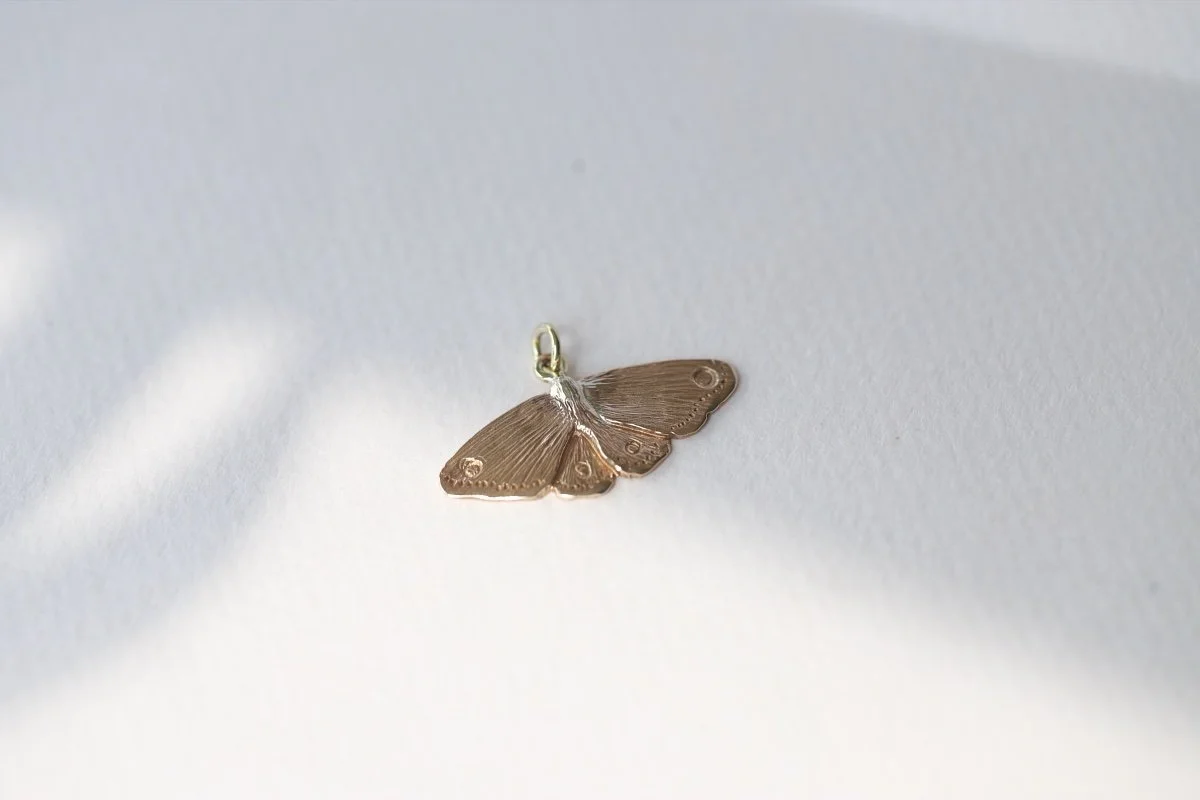 MOTH BZ 8.jpg
