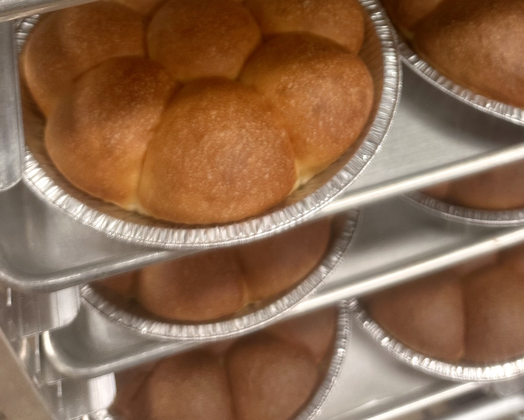 Screen Shot 2025-11-28 at 3.15.27 PM.png