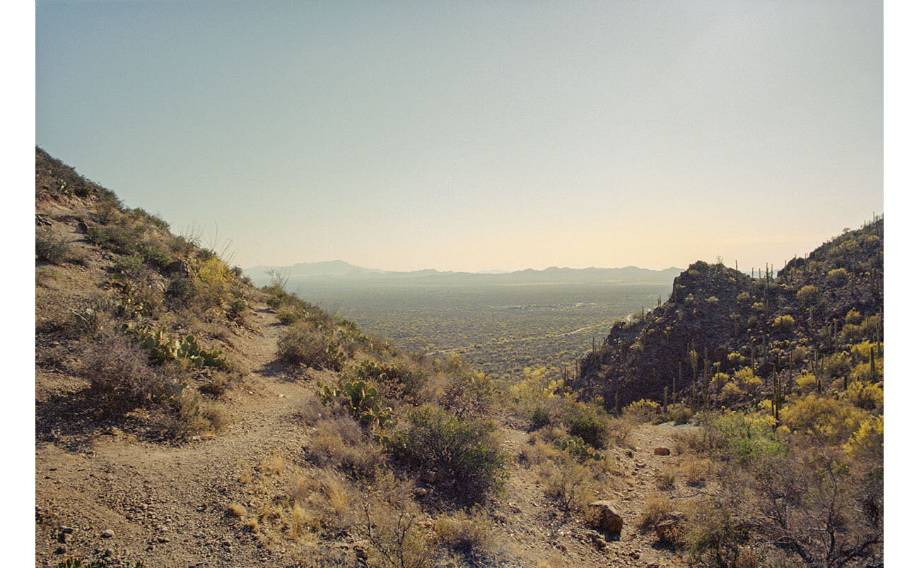 Roadside 02_35.jpg