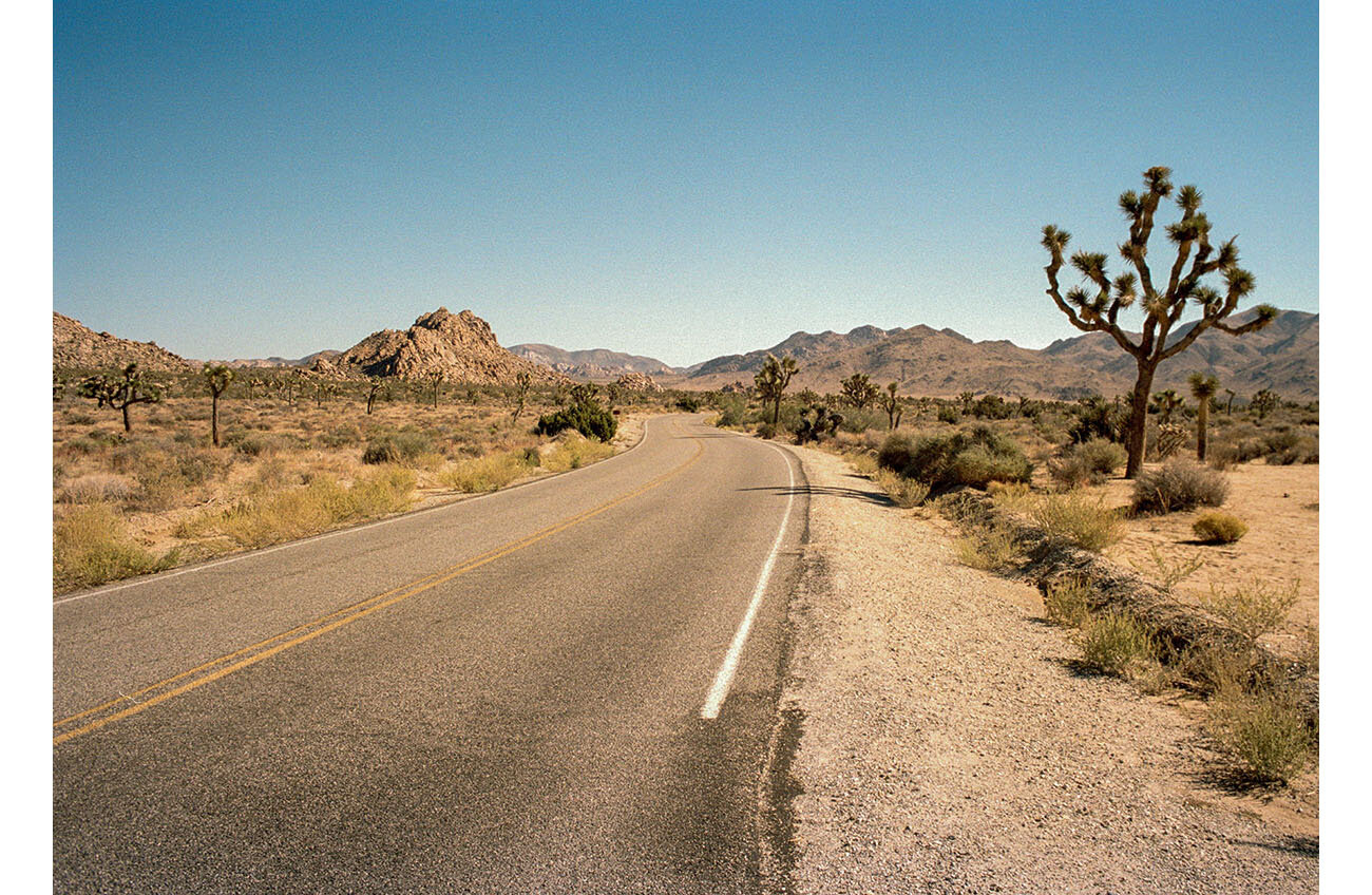 Roadside 02_39.jpg