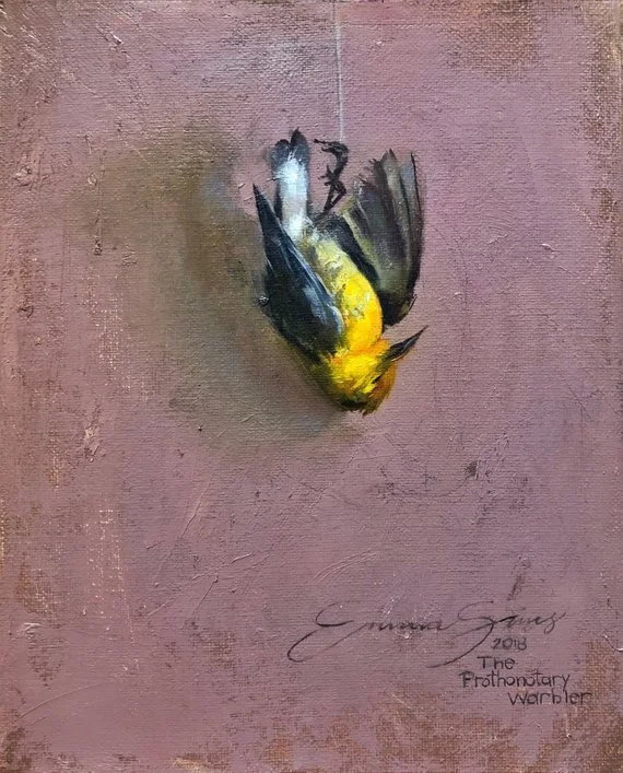 prothonotary warbler.jpg