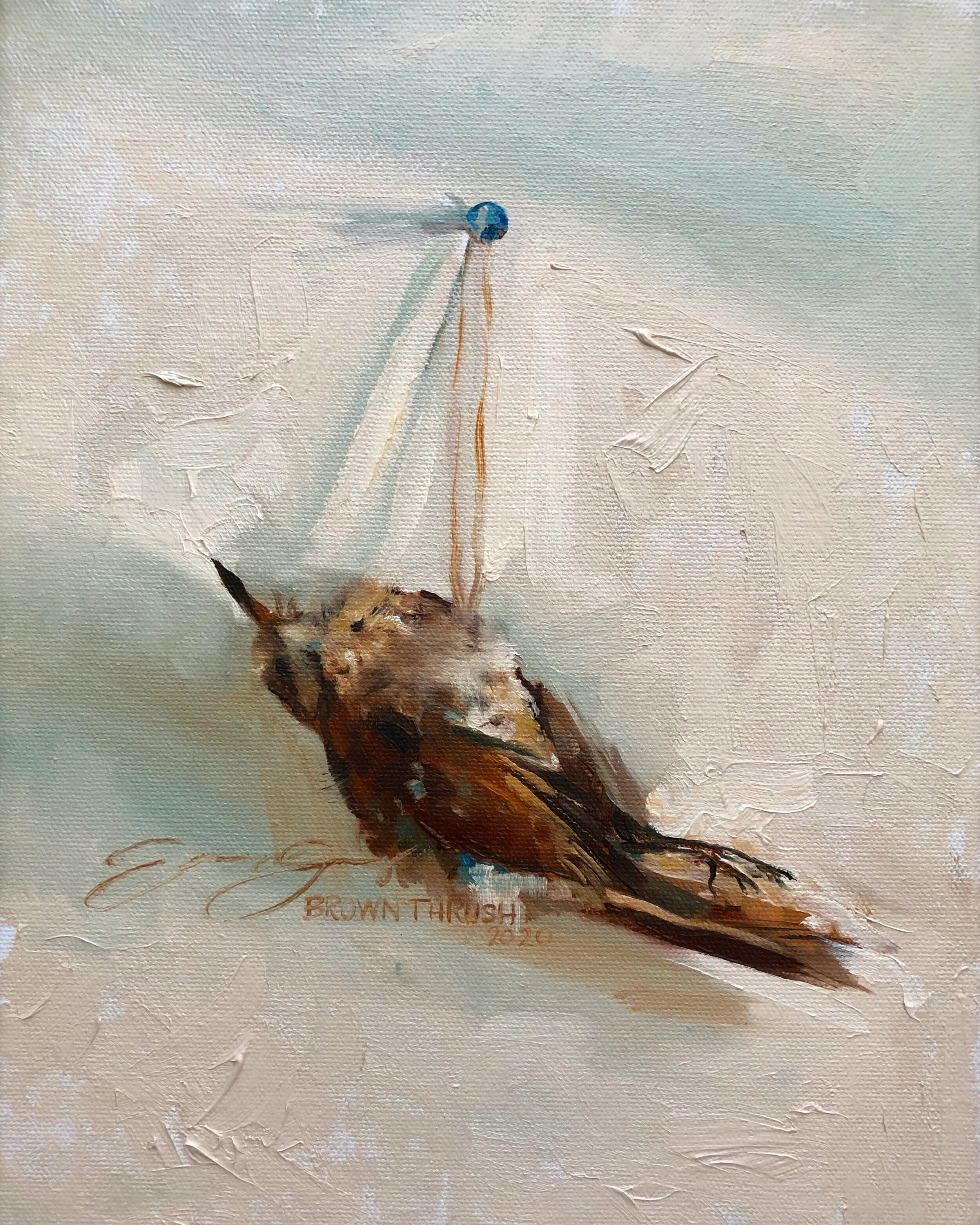 Brown Thrush 1.jpg