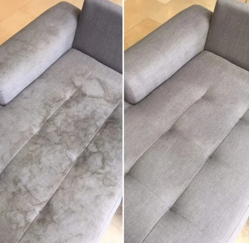 Couch Cleaning Palm Beach