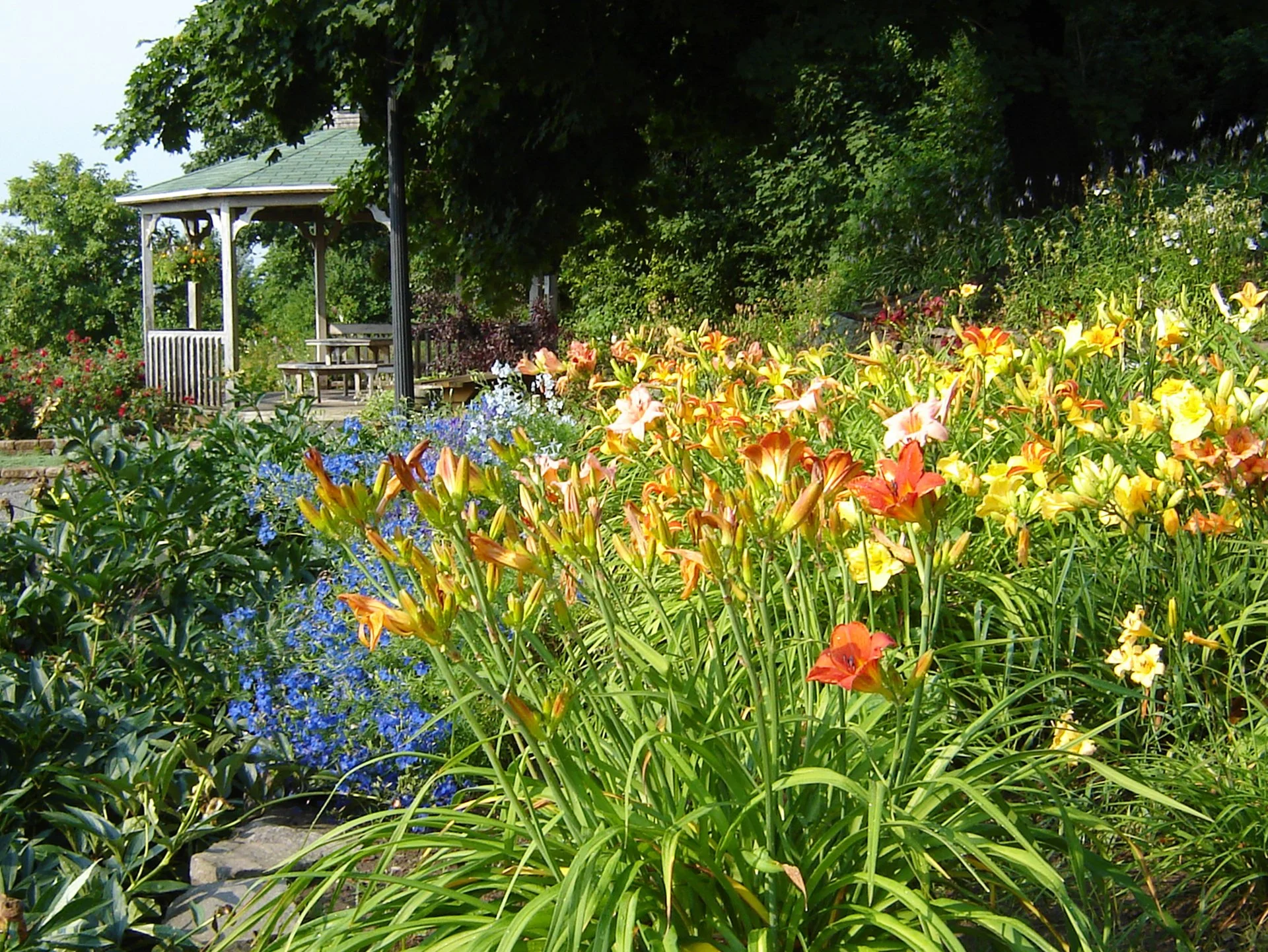 Prêt à explorer le Jardin floral de La Pocatière ?