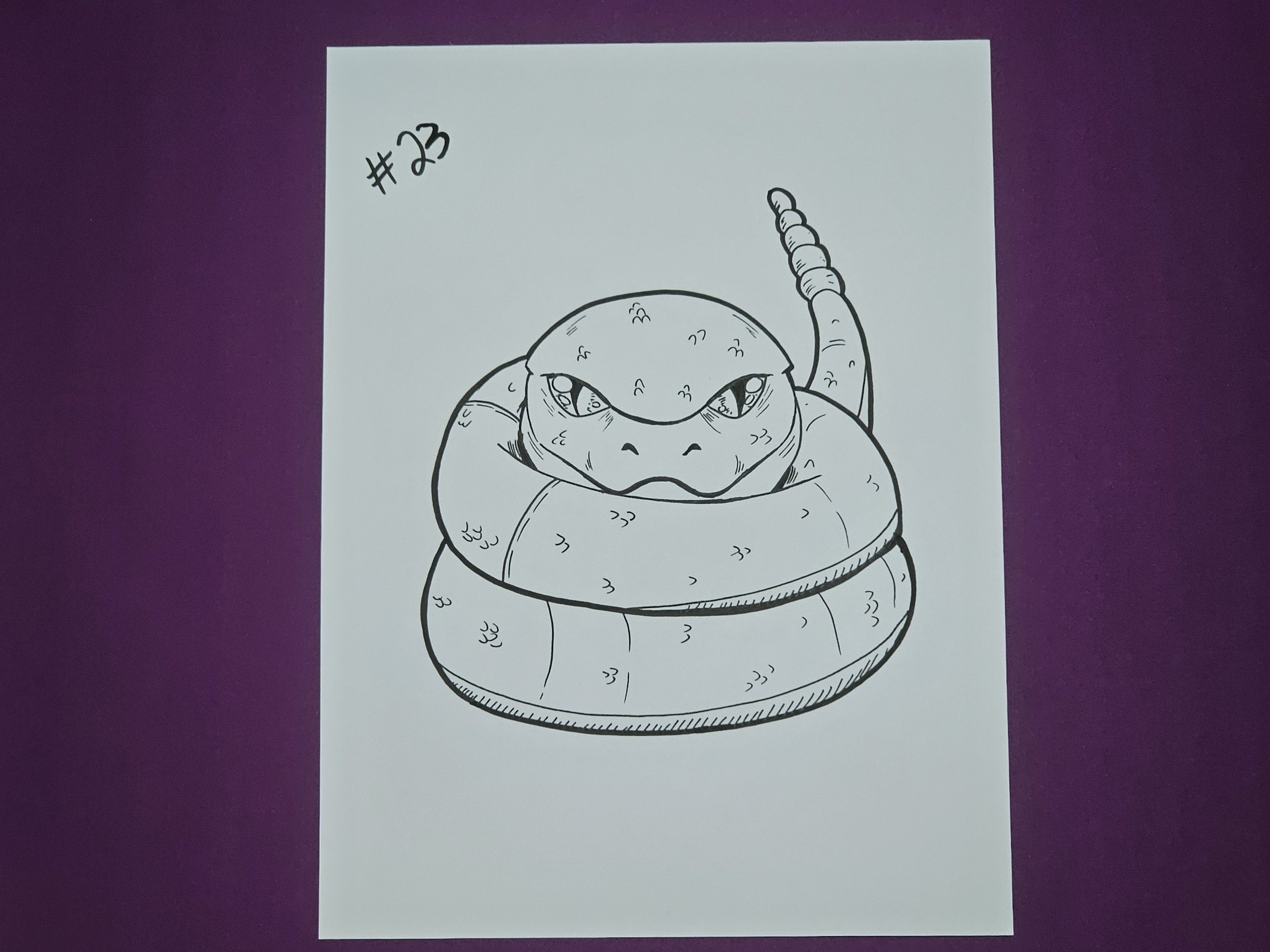 #23
