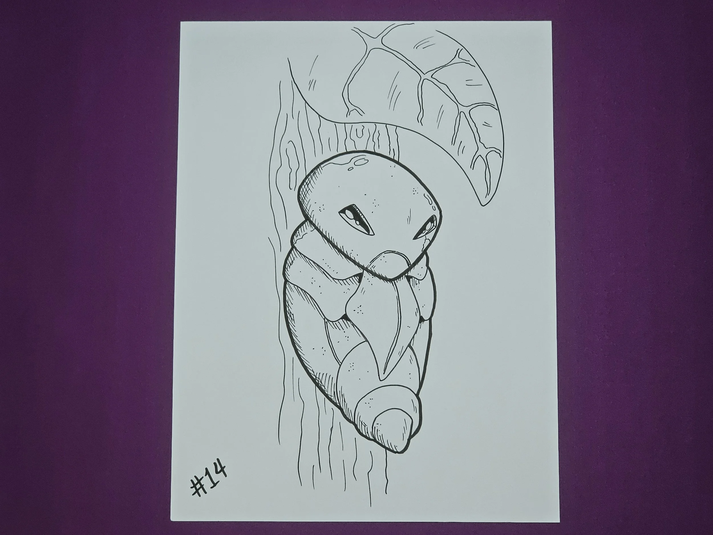 #14