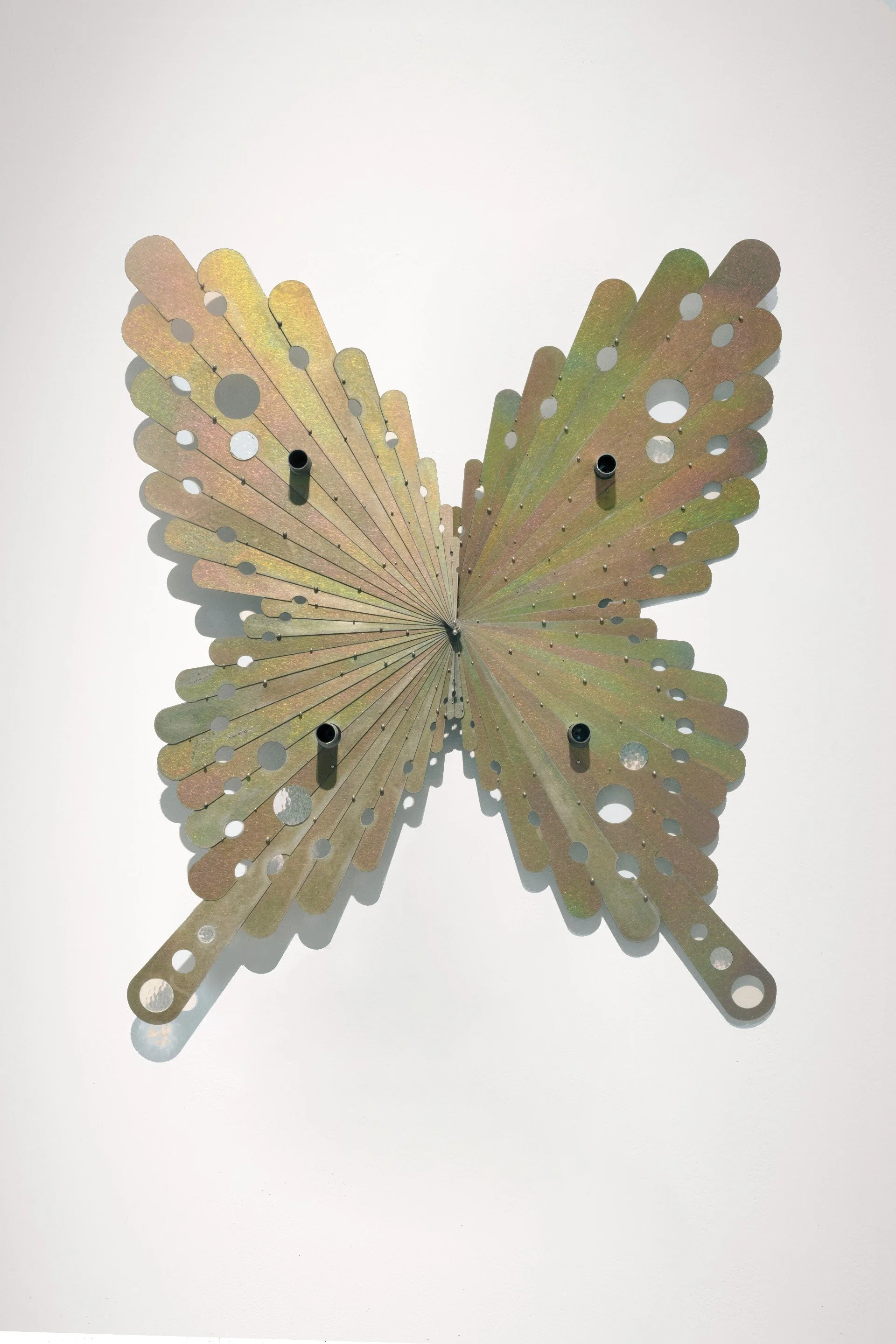 Flush Blush Bruise No.jpg