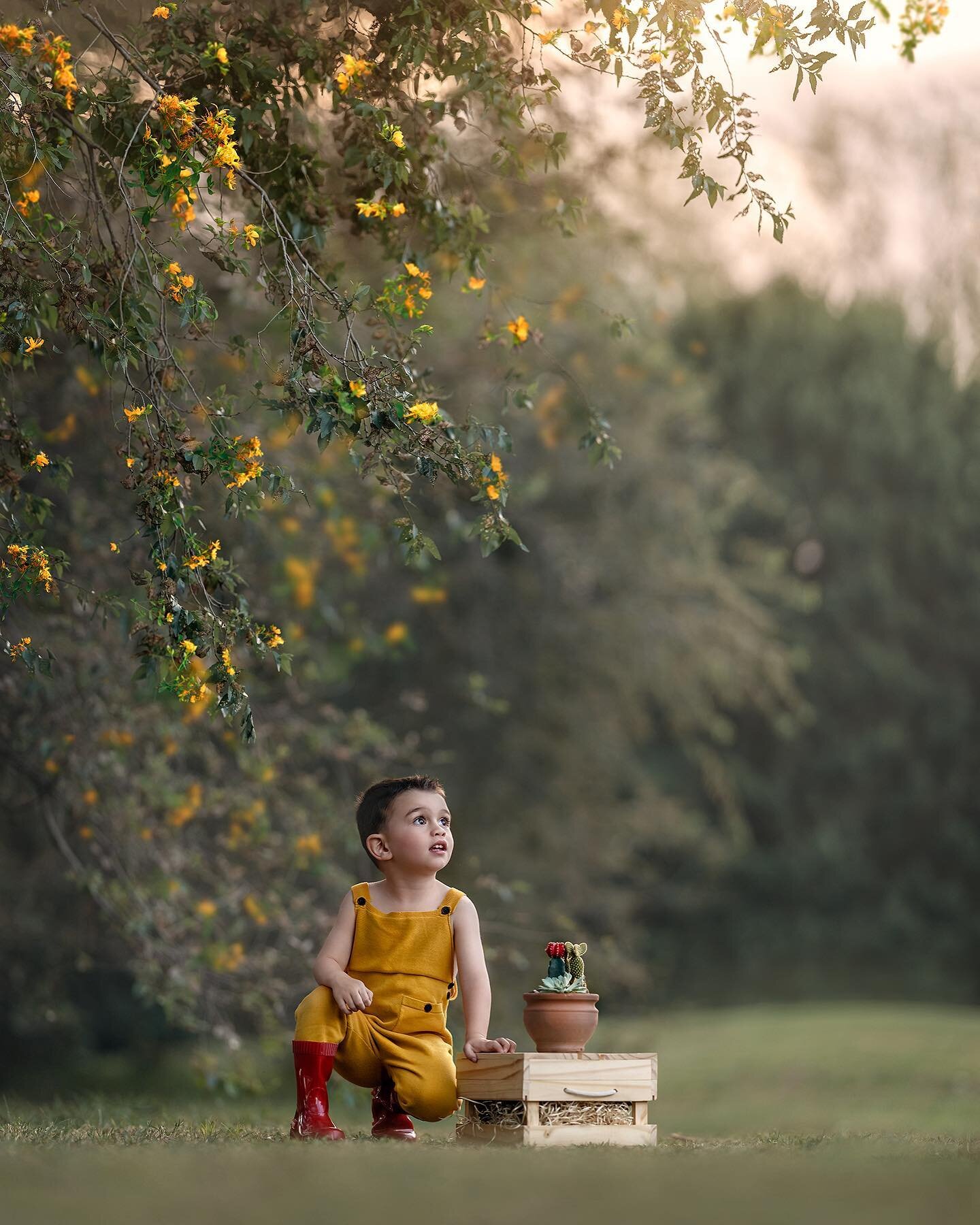 &ldquo;Habla a tus hij@s como si fueran los seres mas inteligentes, amables, hermosos y m&aacute;gicos. Porque lo que crean que son, en eso se convertir&aacute;n&ldquo; (Brooke Hampton)

@josefinamarcus mas lindo no ten&iacute;a la cig&uuml;e&ntilde;