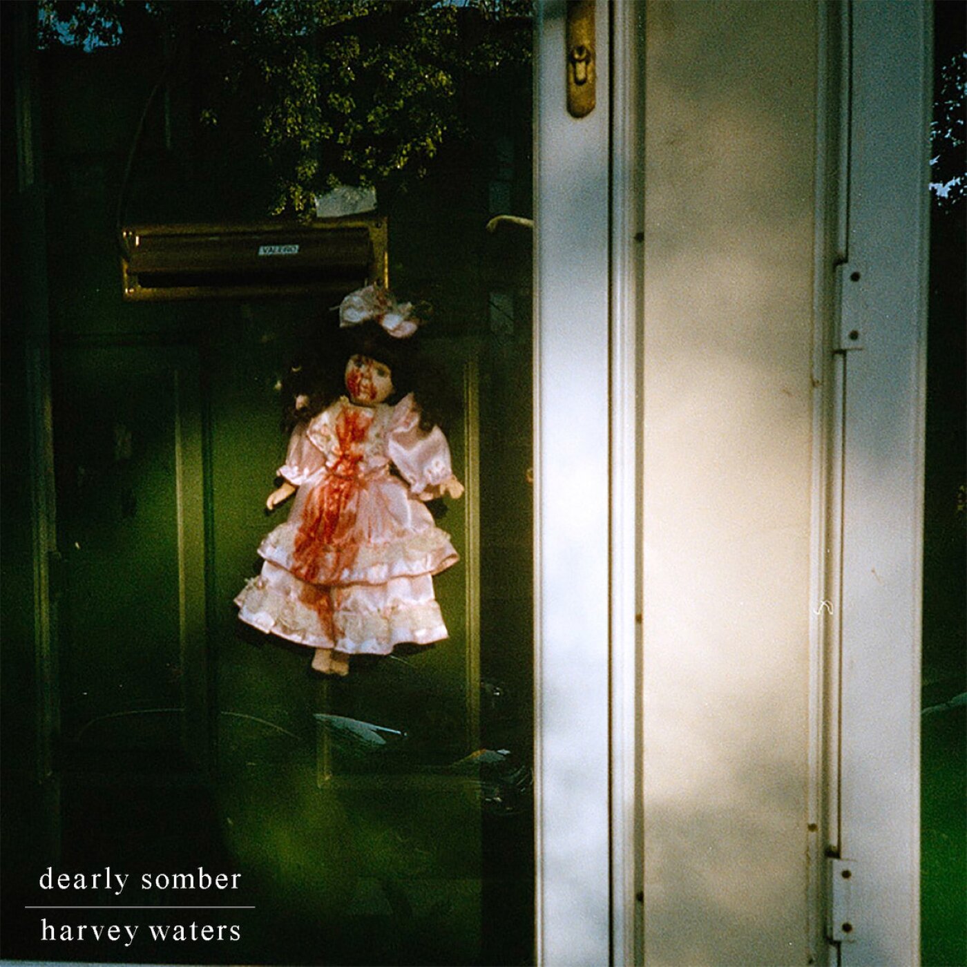 Dearly Somber // Harvey Waters by Harvey Waters