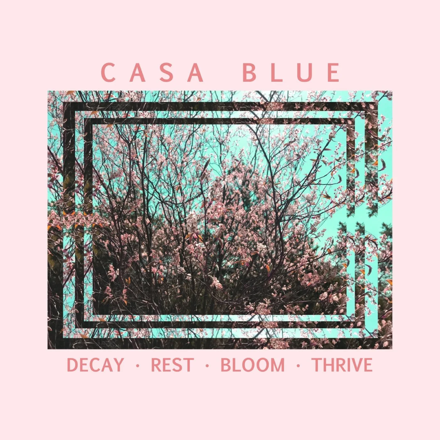 DECAY​-​REST​-​BLOOM​-​THRIVE by Casa Blue