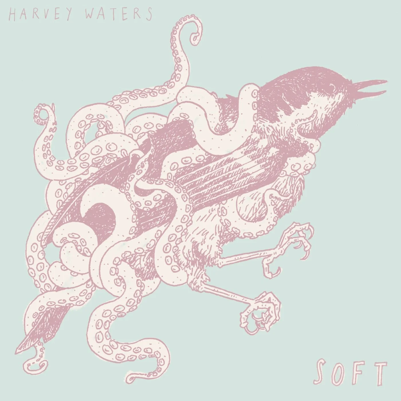 Soft by Harvey Waters