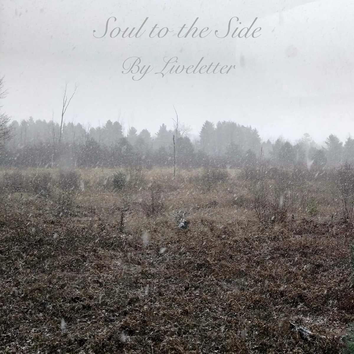 Soul to the Side by LIVELETTER