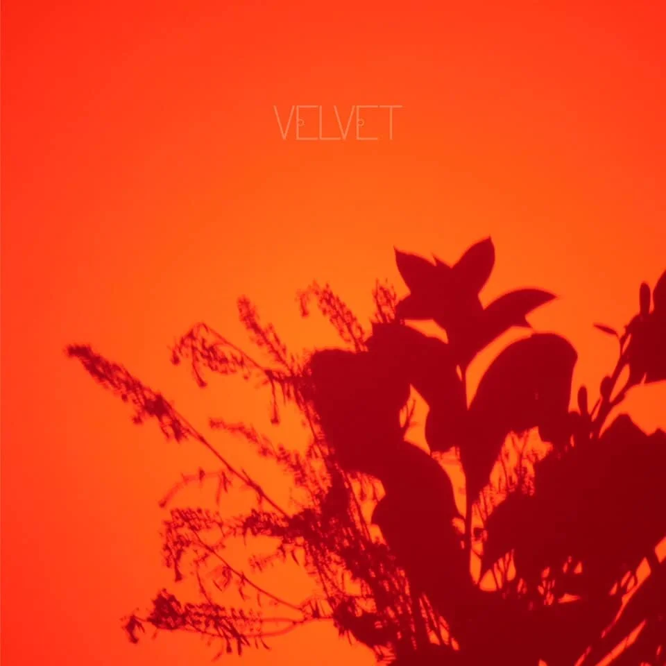 Velvet by Art Of Conversation