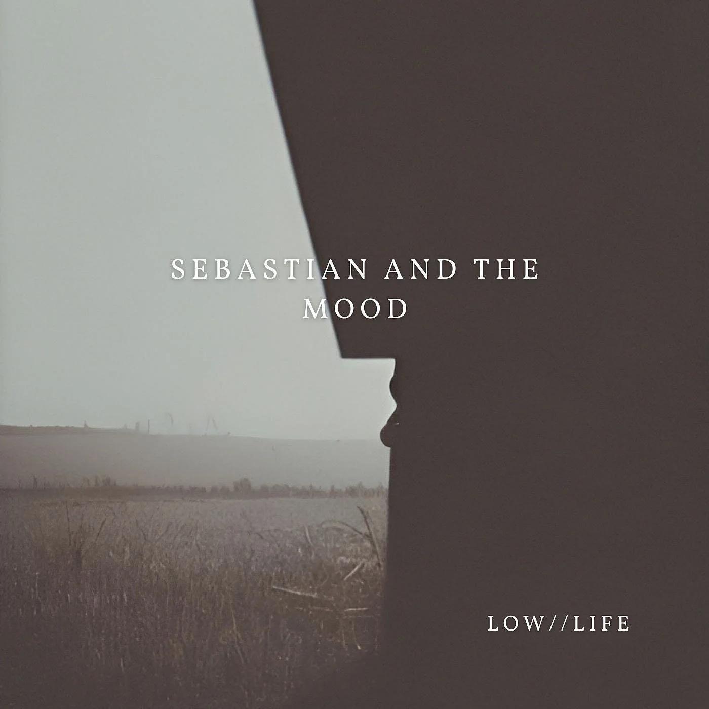 LOW//LIFE by Sebastian and The Mood