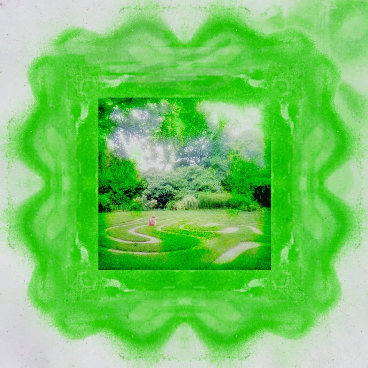 berries go by Ness Lake