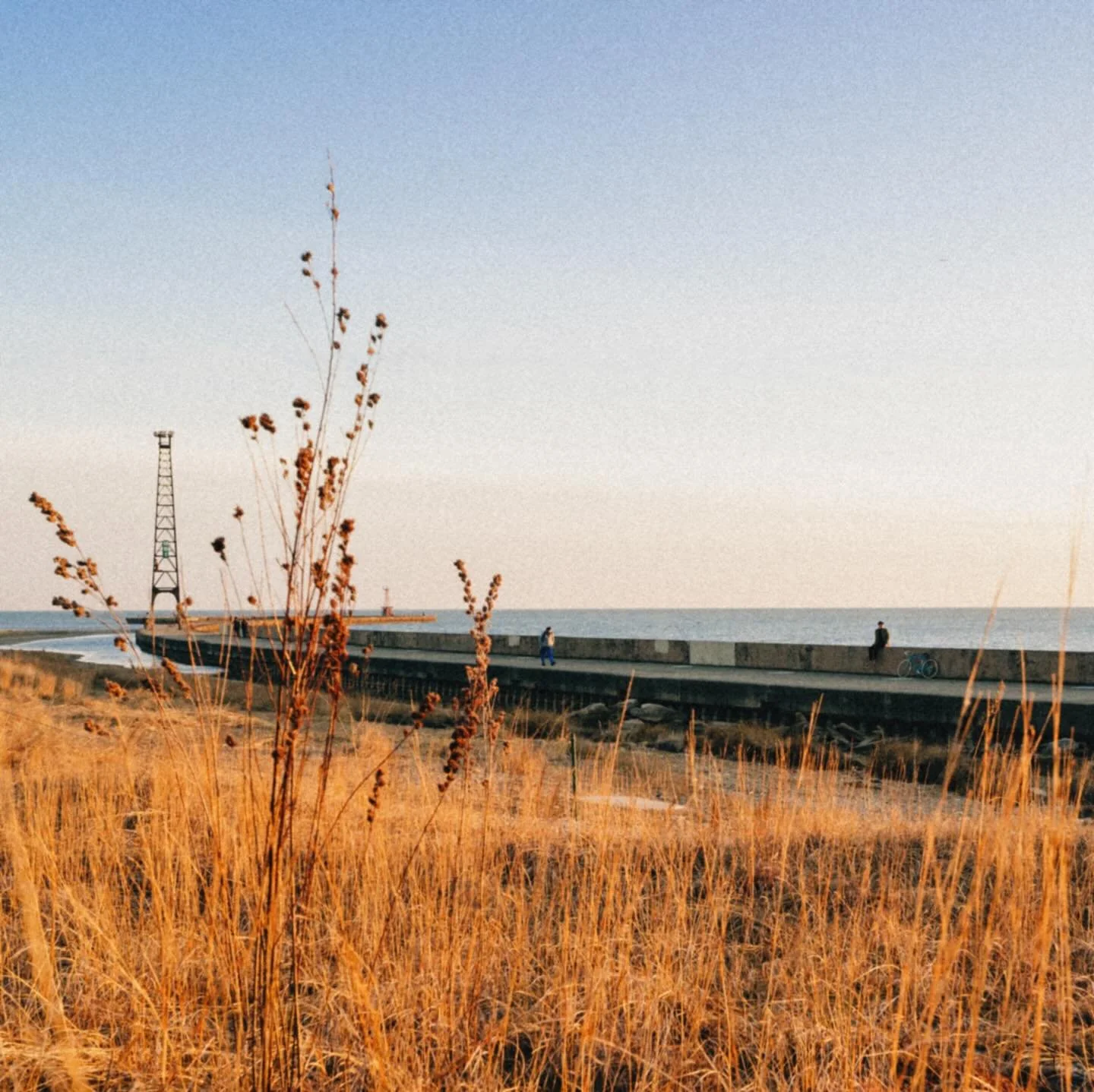 Unsavory by Bottom Bracket