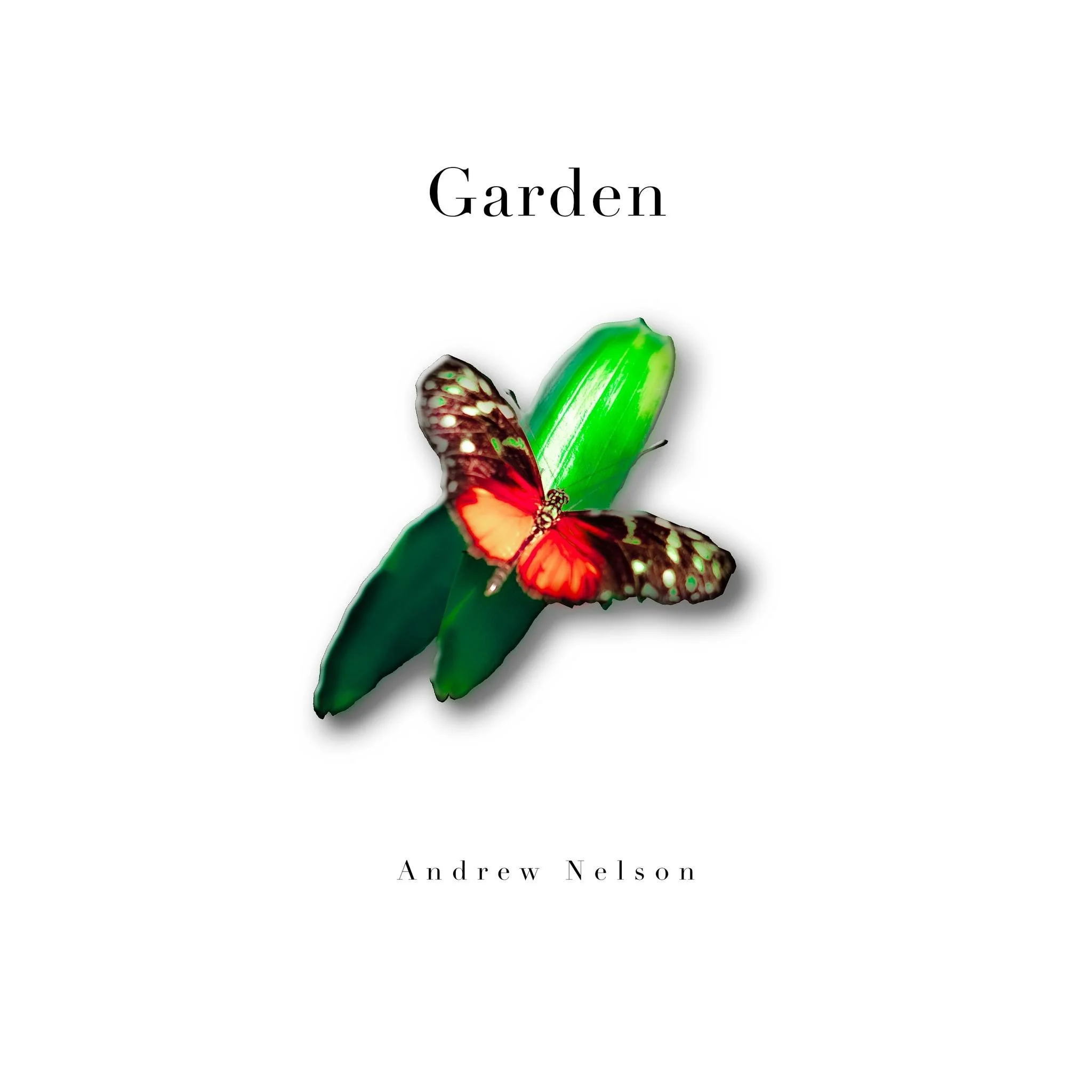 Garden by Andrew Nelson