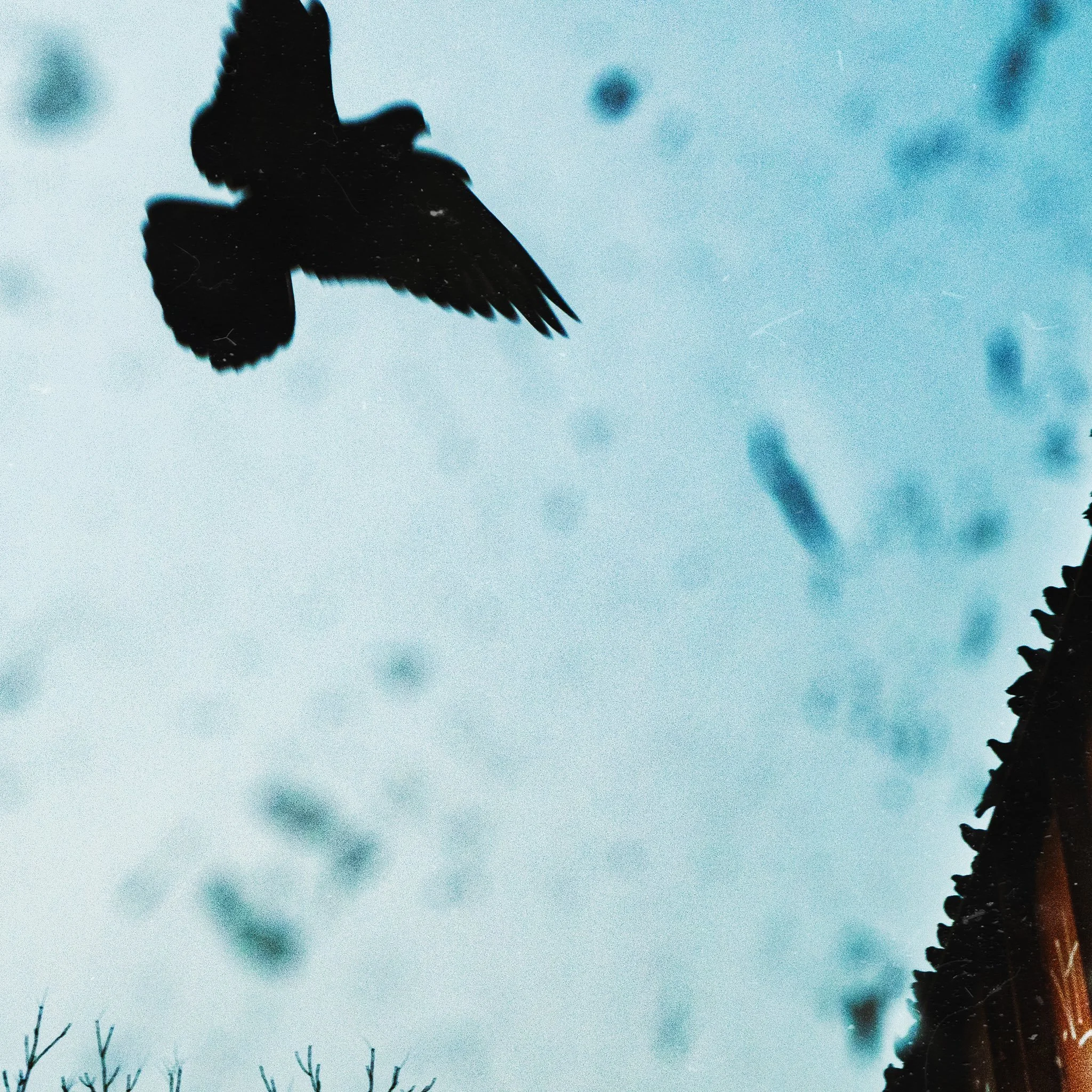 Her name engraved by Arcadia Grey