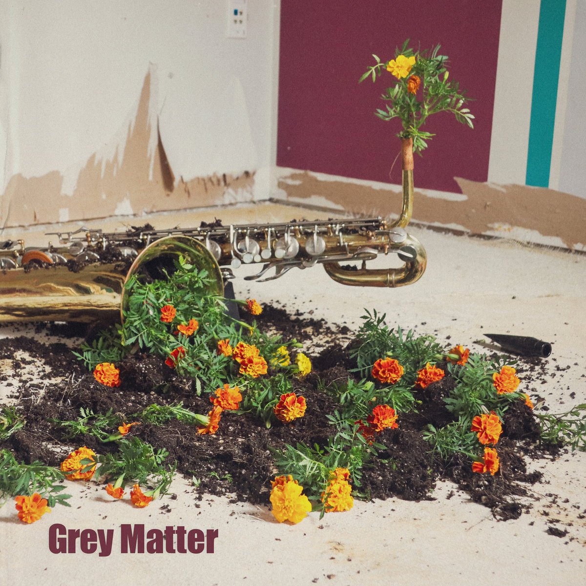 Grey Matter by Grey Matter