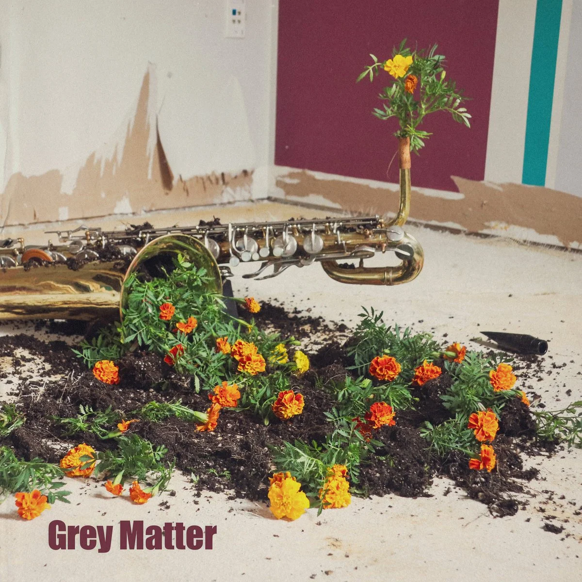 Grey Matter by Grey Matter.jpg