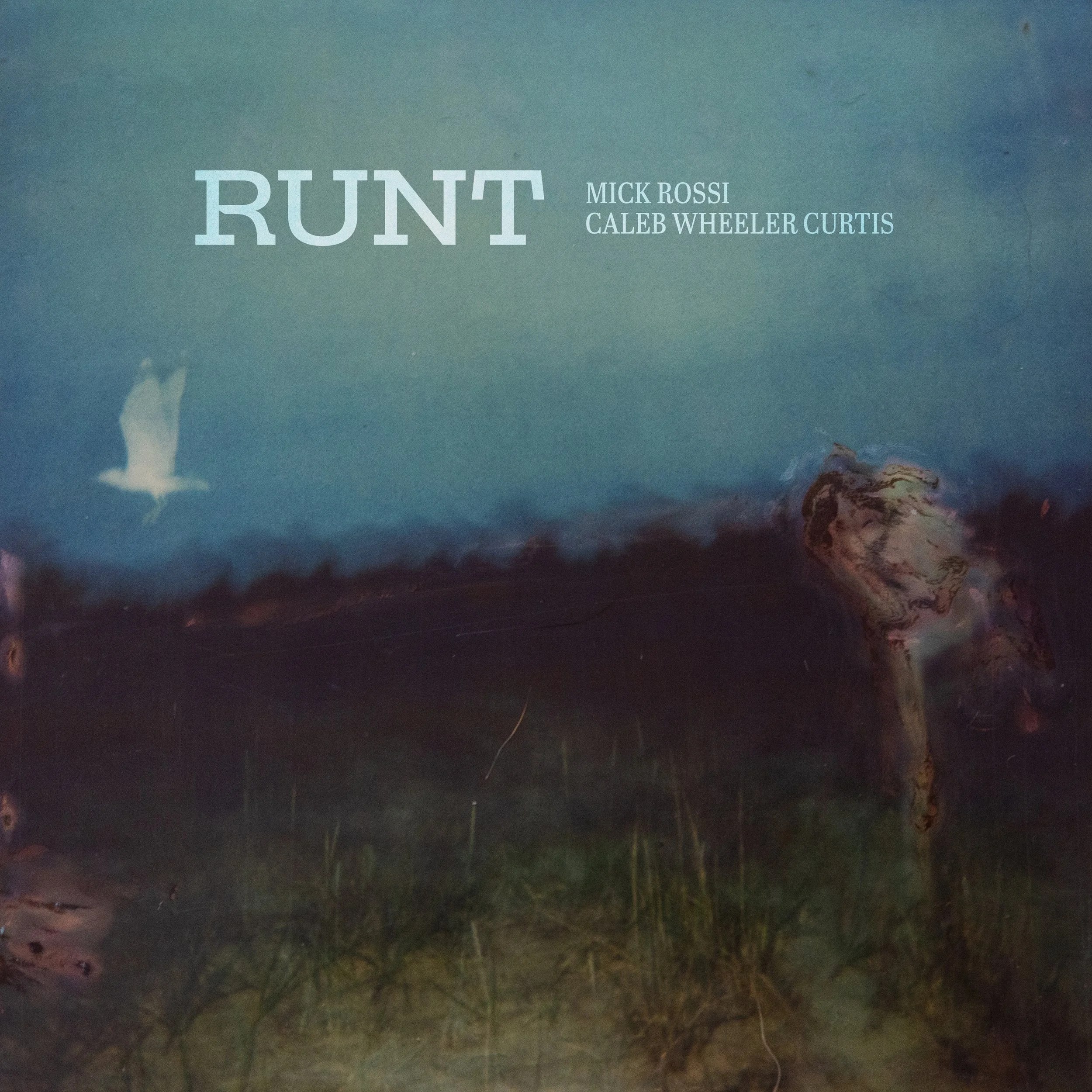 Runt Front Cover