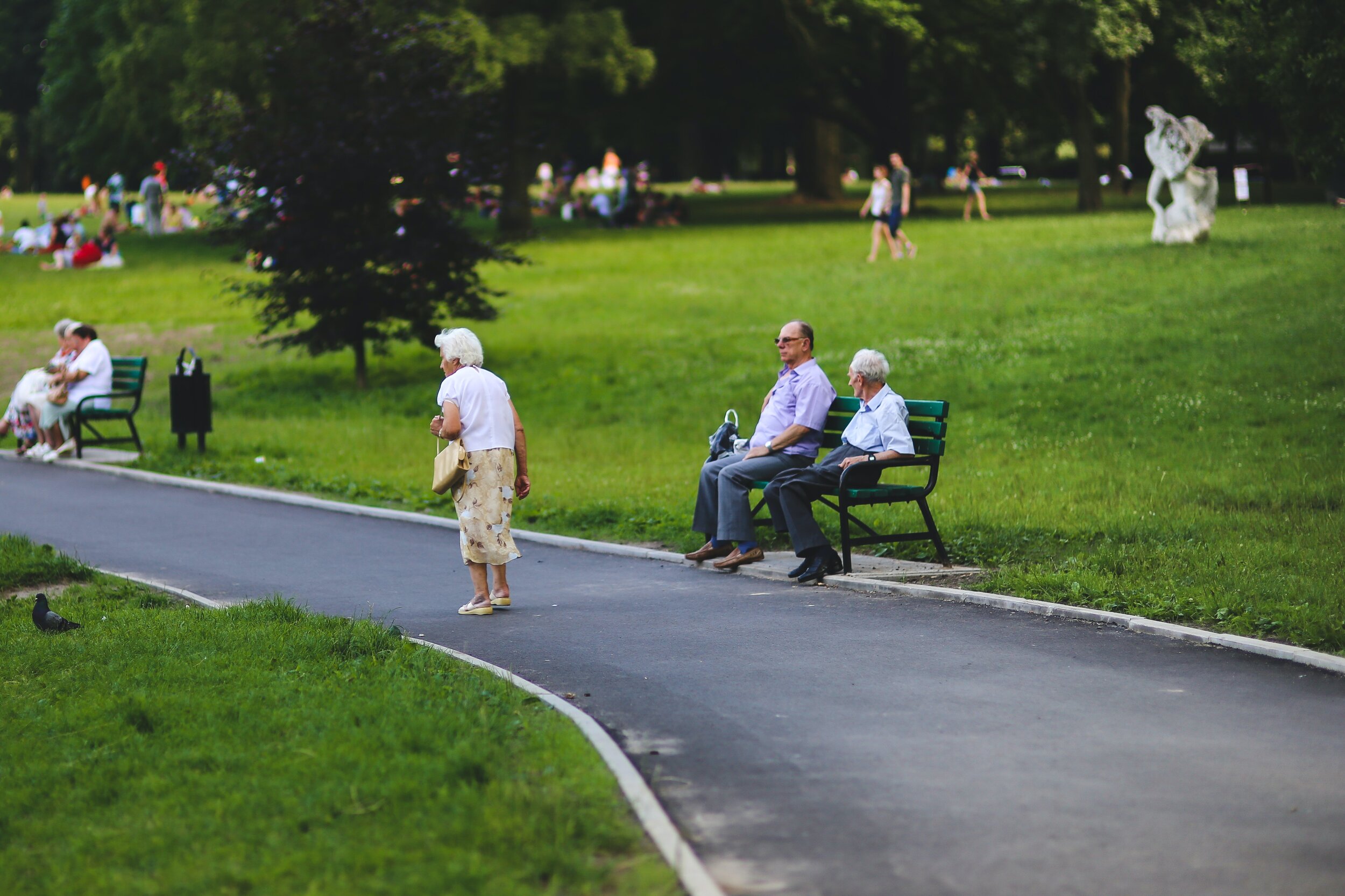 seniors-in-the-park-6054.jpg