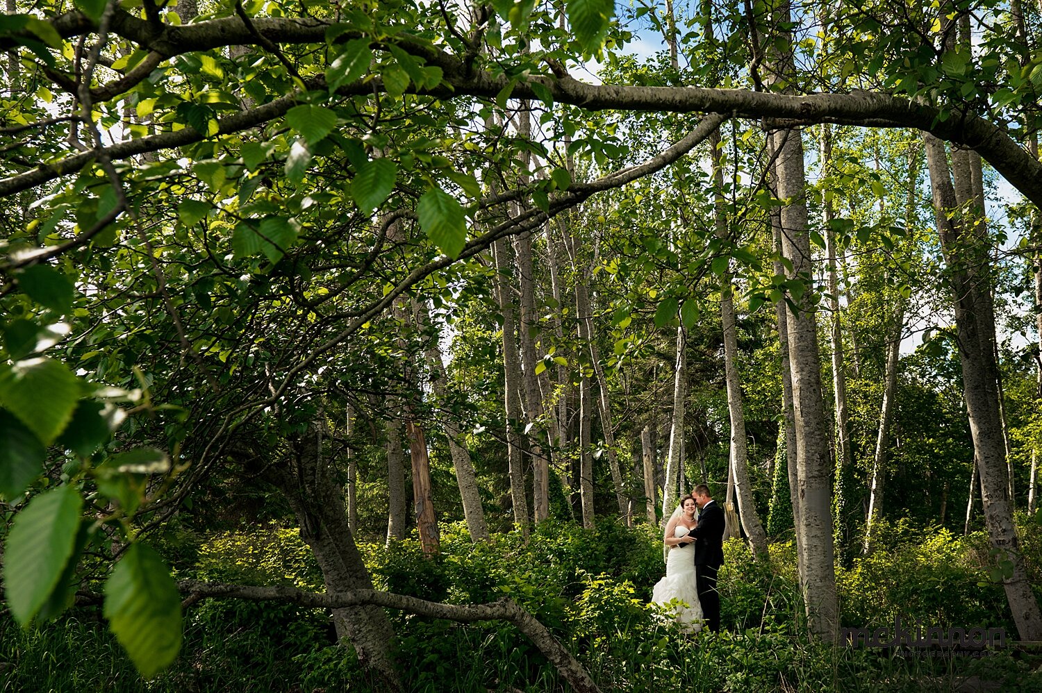Wedding Portraits Vancouver Island Forest