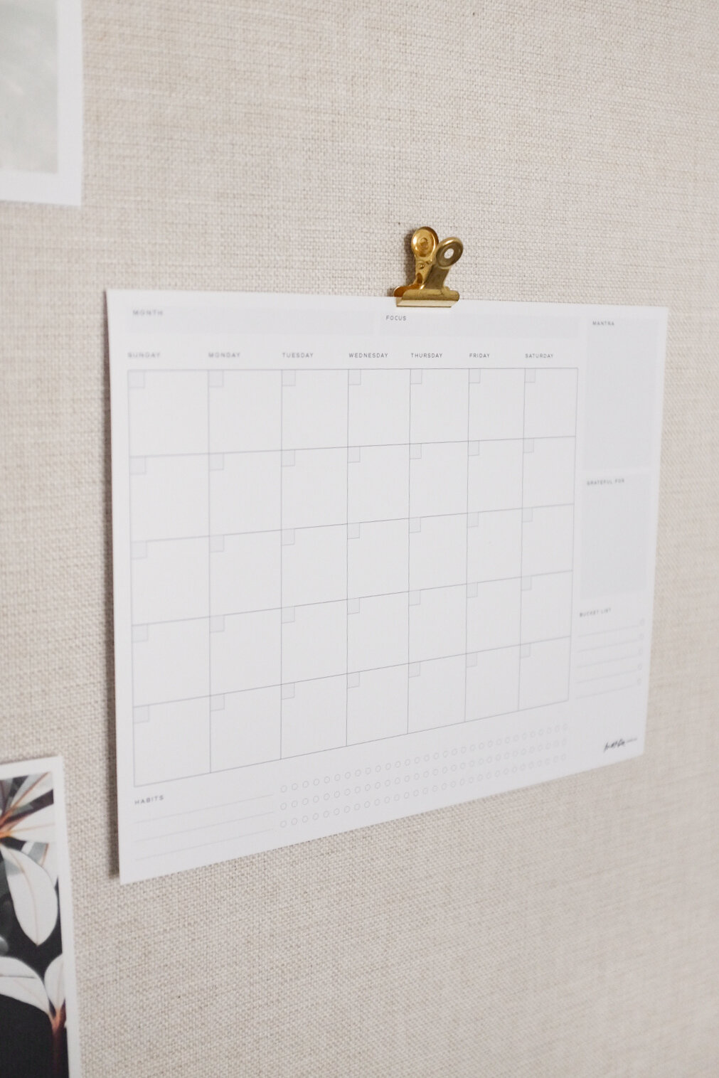 Mandaland-Monthly Calendar-3.jpg