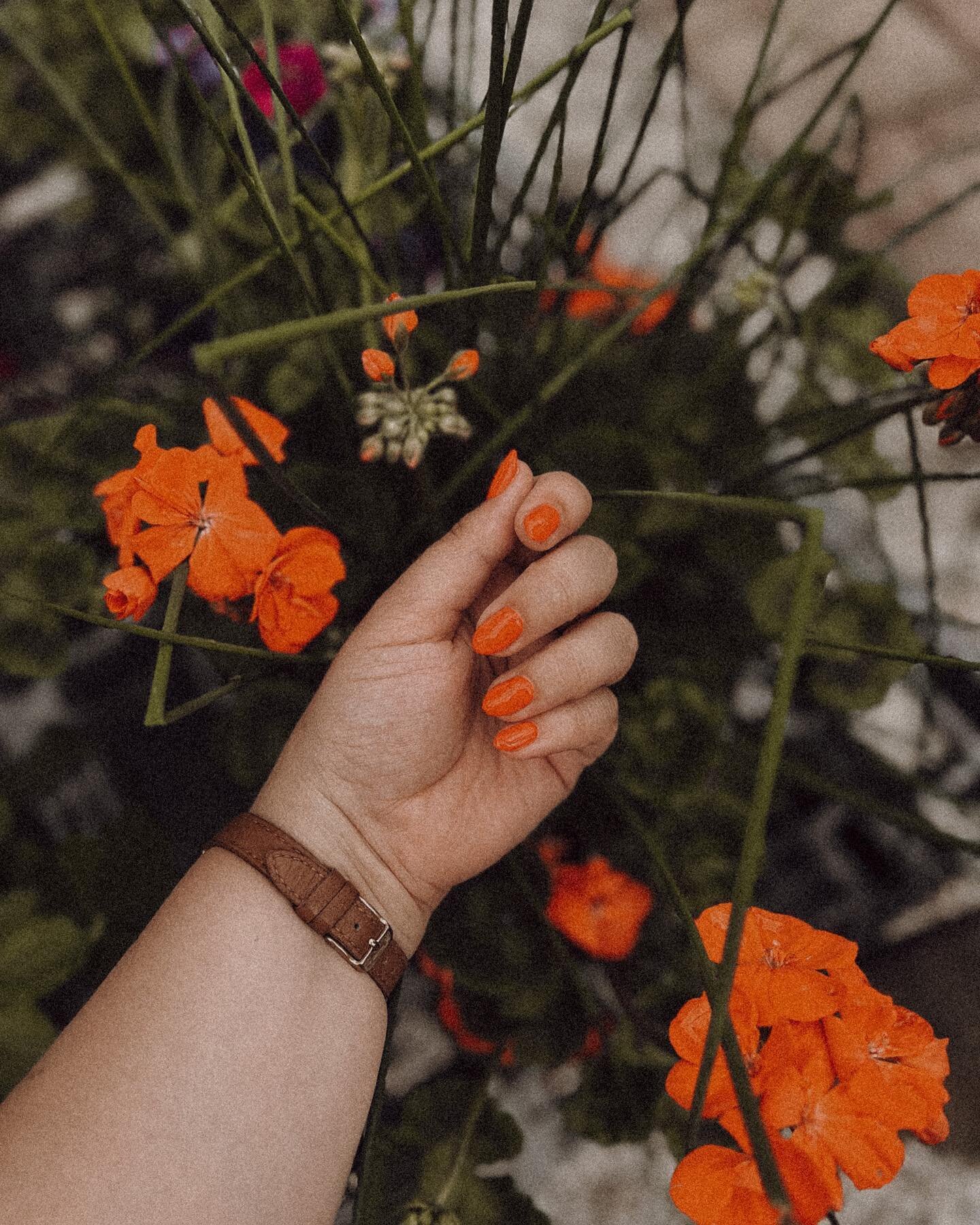 Having a moment with the geraniums at the flower shop. It&rsquo;s gonna be a Garden Girl summer, folks. 🌼