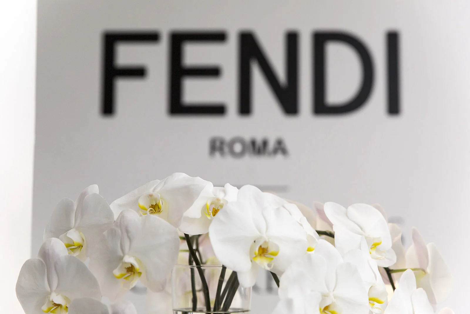 Fendi © Andrea Kim Mariani 013.JPG