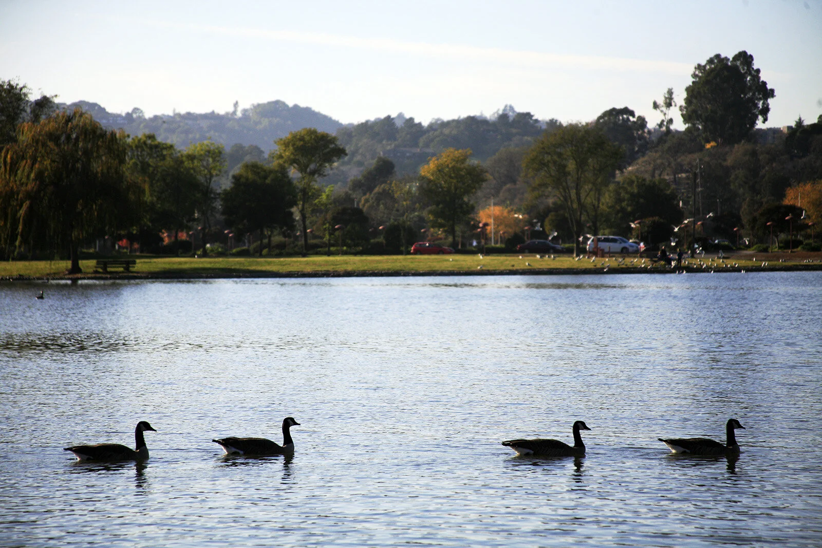 California © Andrea Kim Mariani 026.JPG