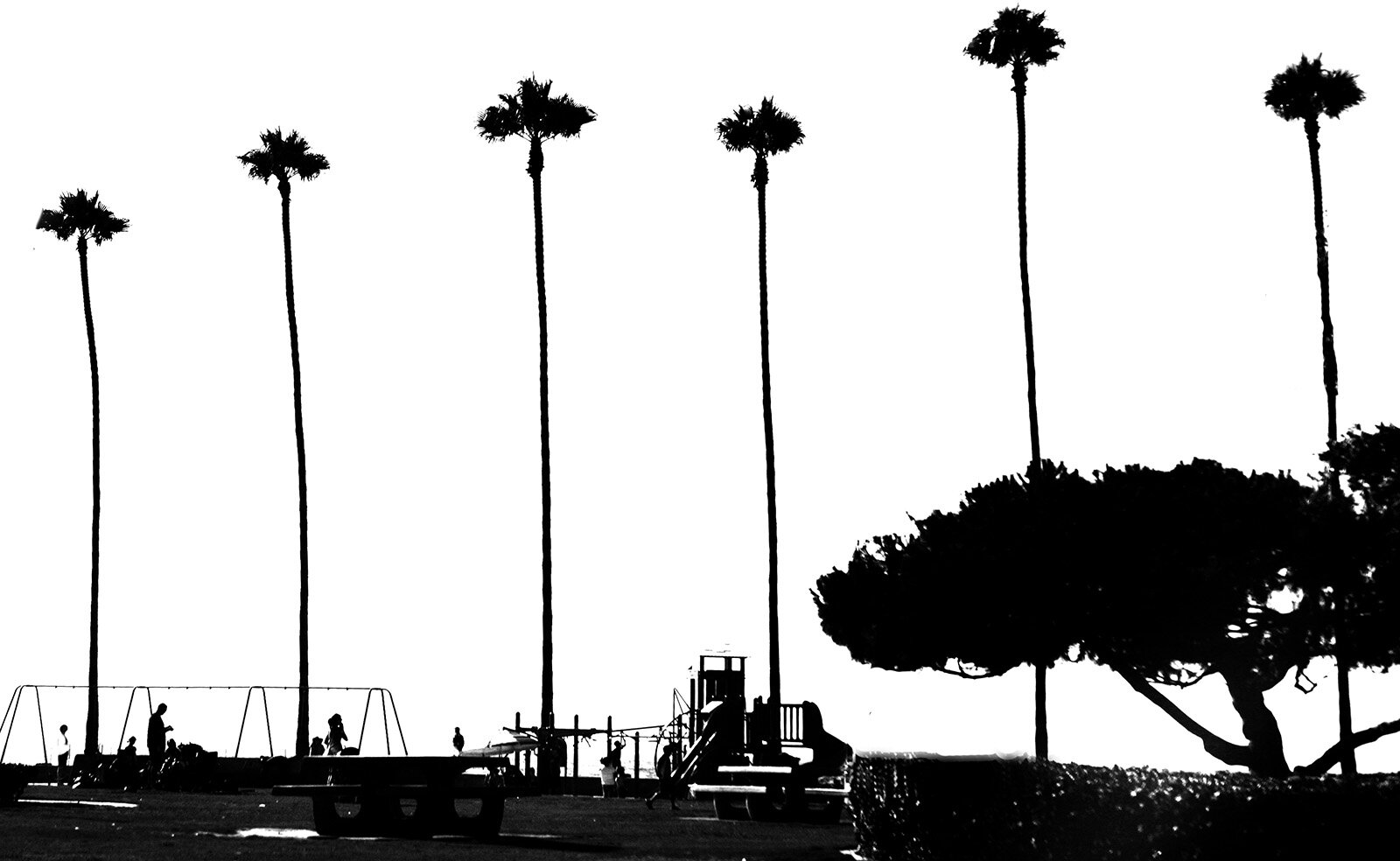 California © Andrea Kim Mariani 038.JPG