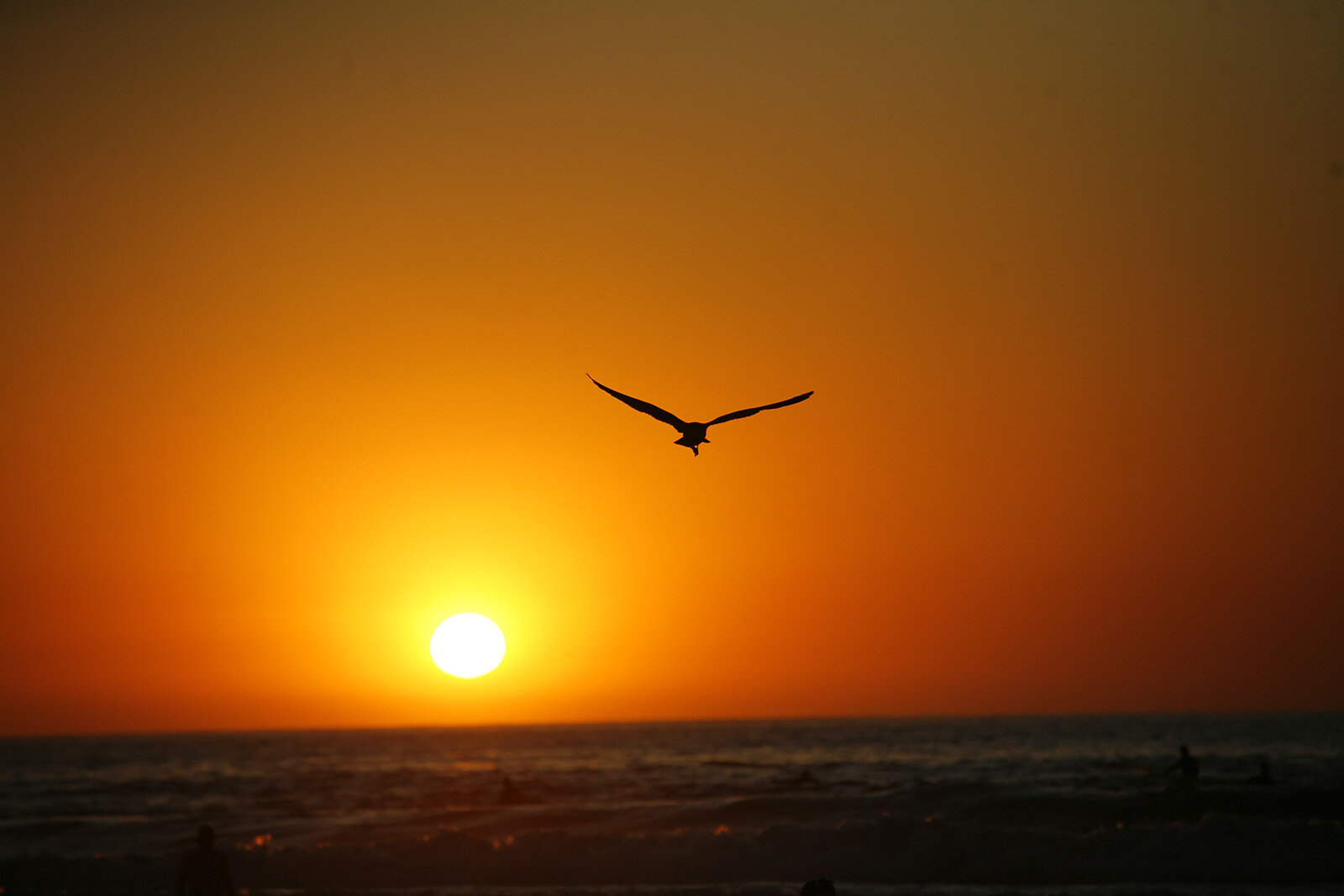 California © Andrea Kim Mariani 040.JPG