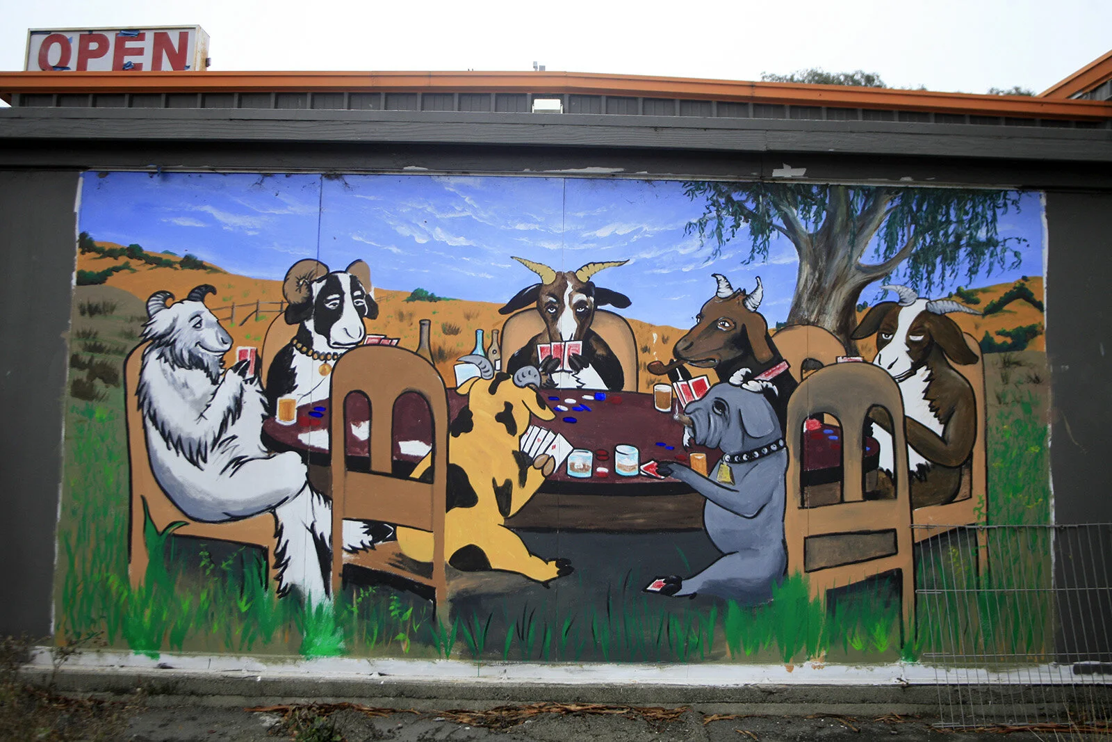 California © Andrea Kim Mariani 031.JPG
