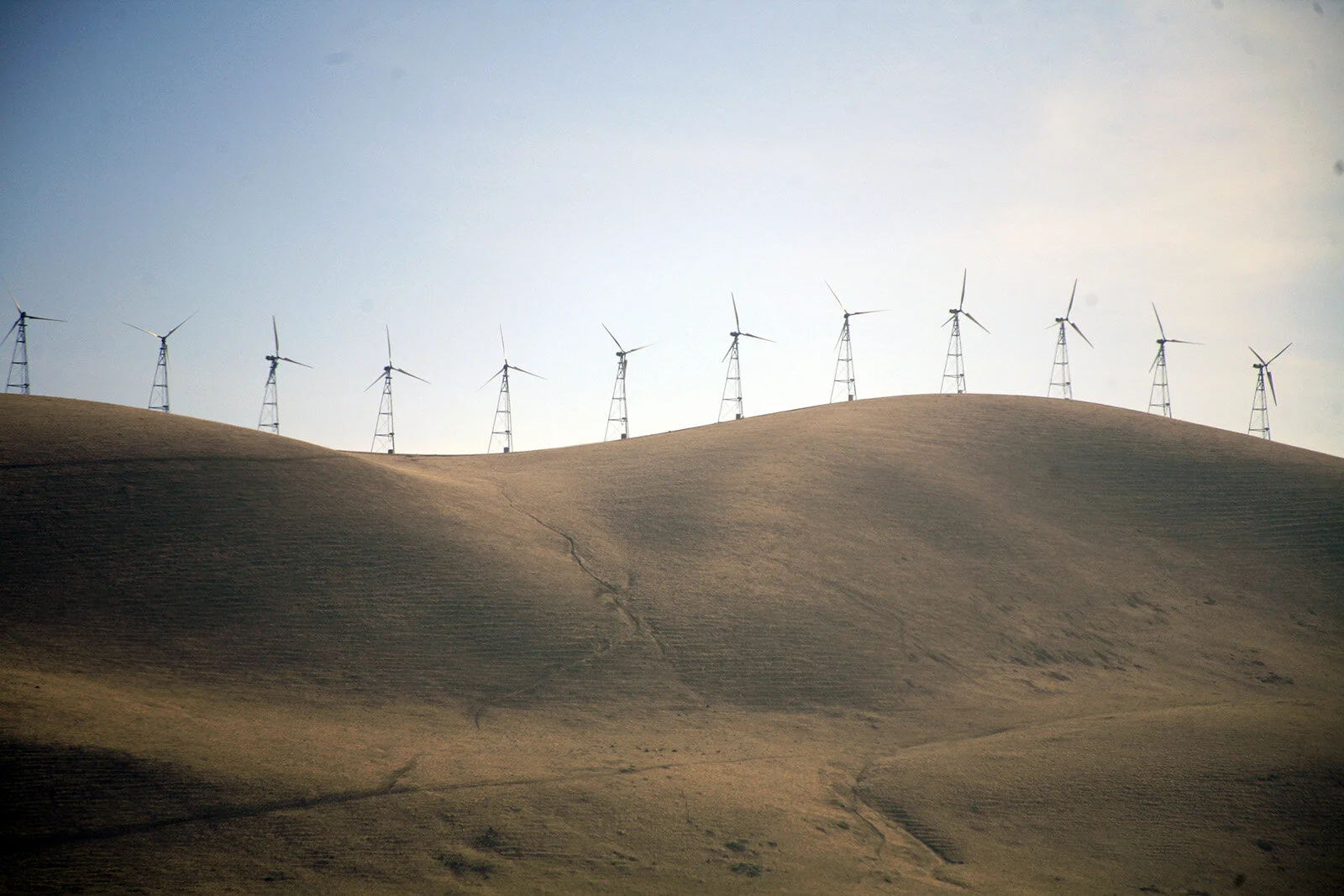 California © Andrea Kim Mariani 033.JPG