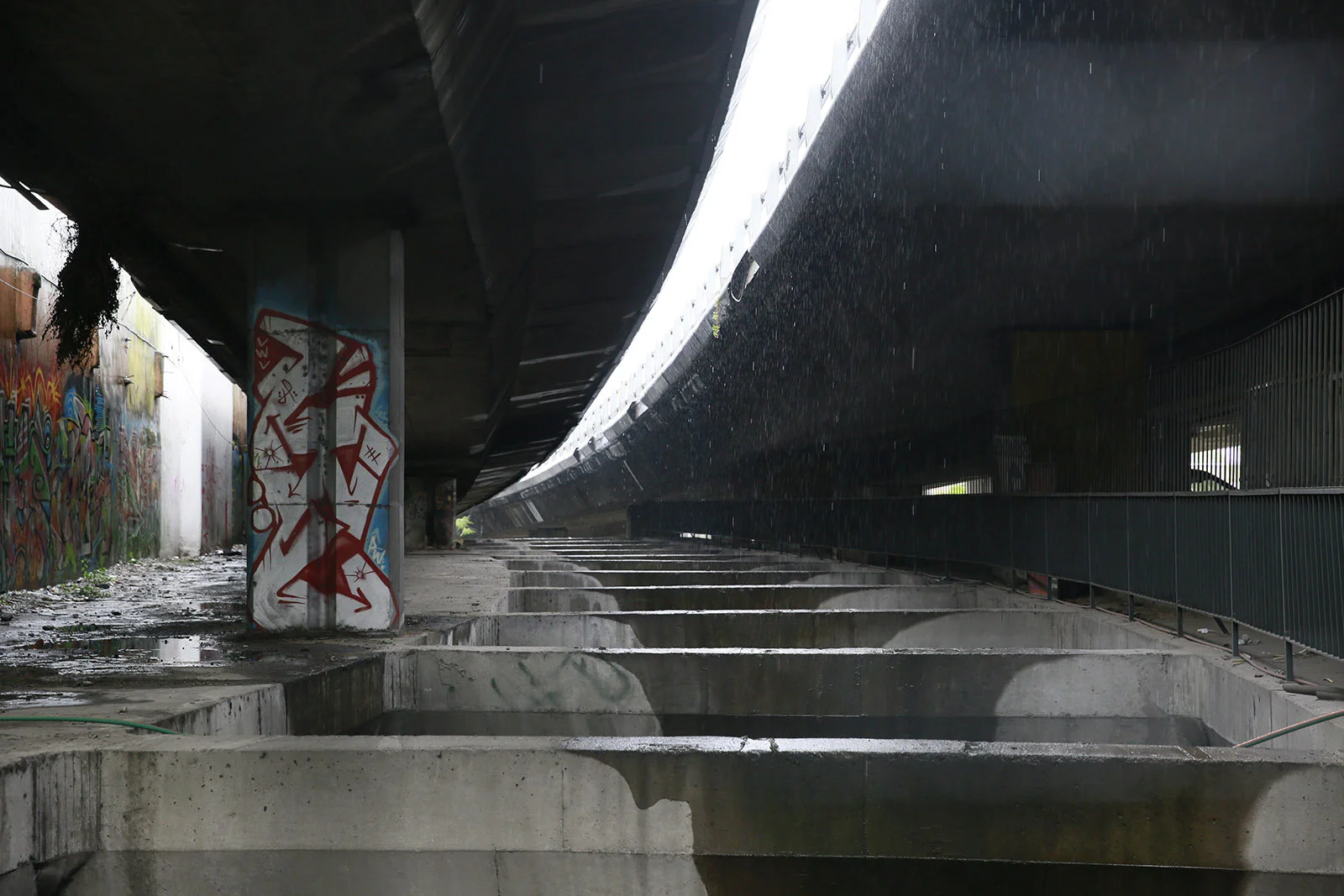 _46A8781.jpg