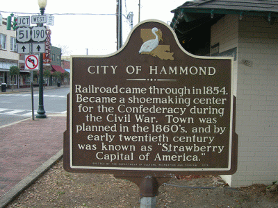 title-loans-hammond-la.gif