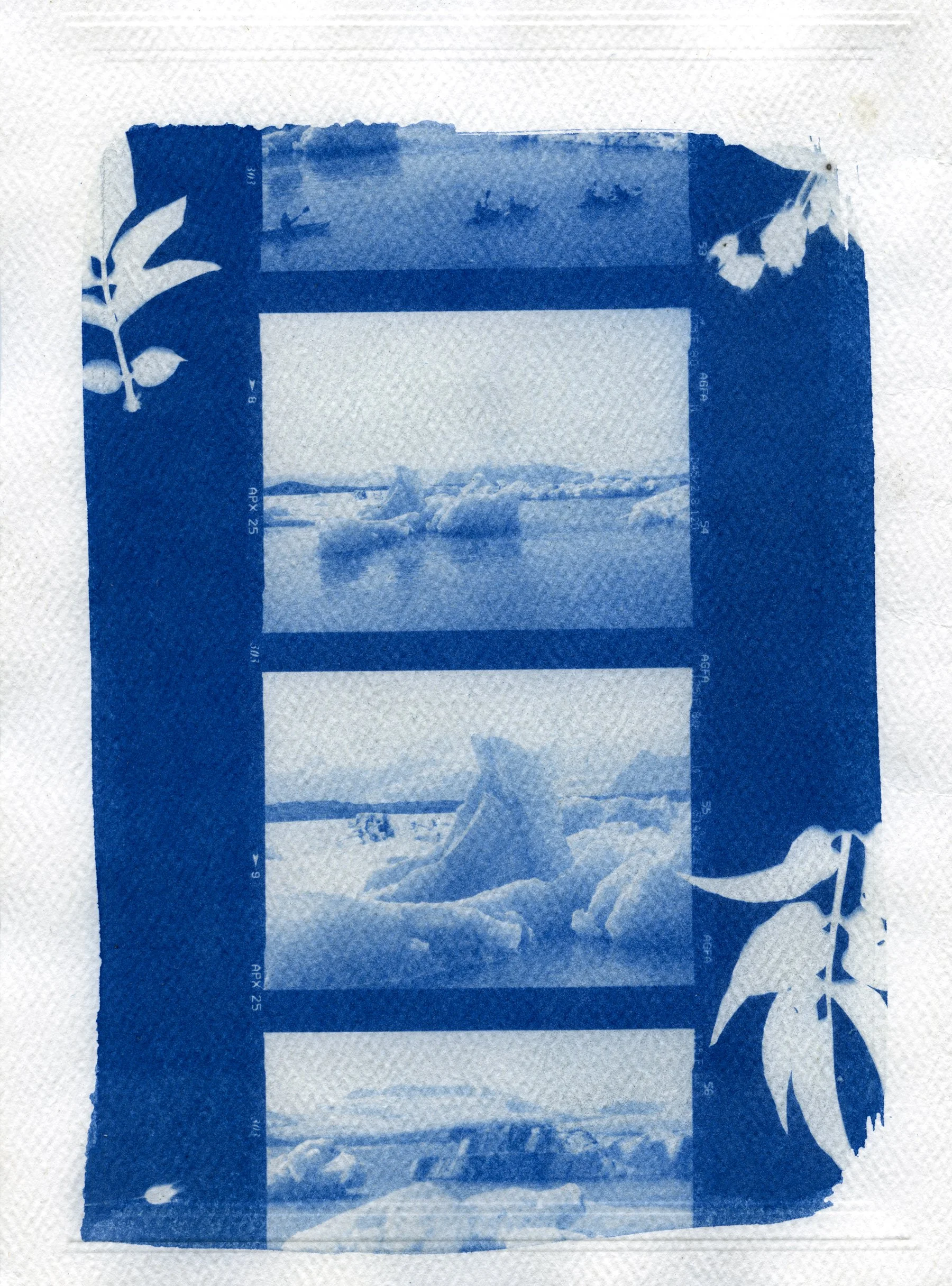NG_Cyanotypes12.jpg