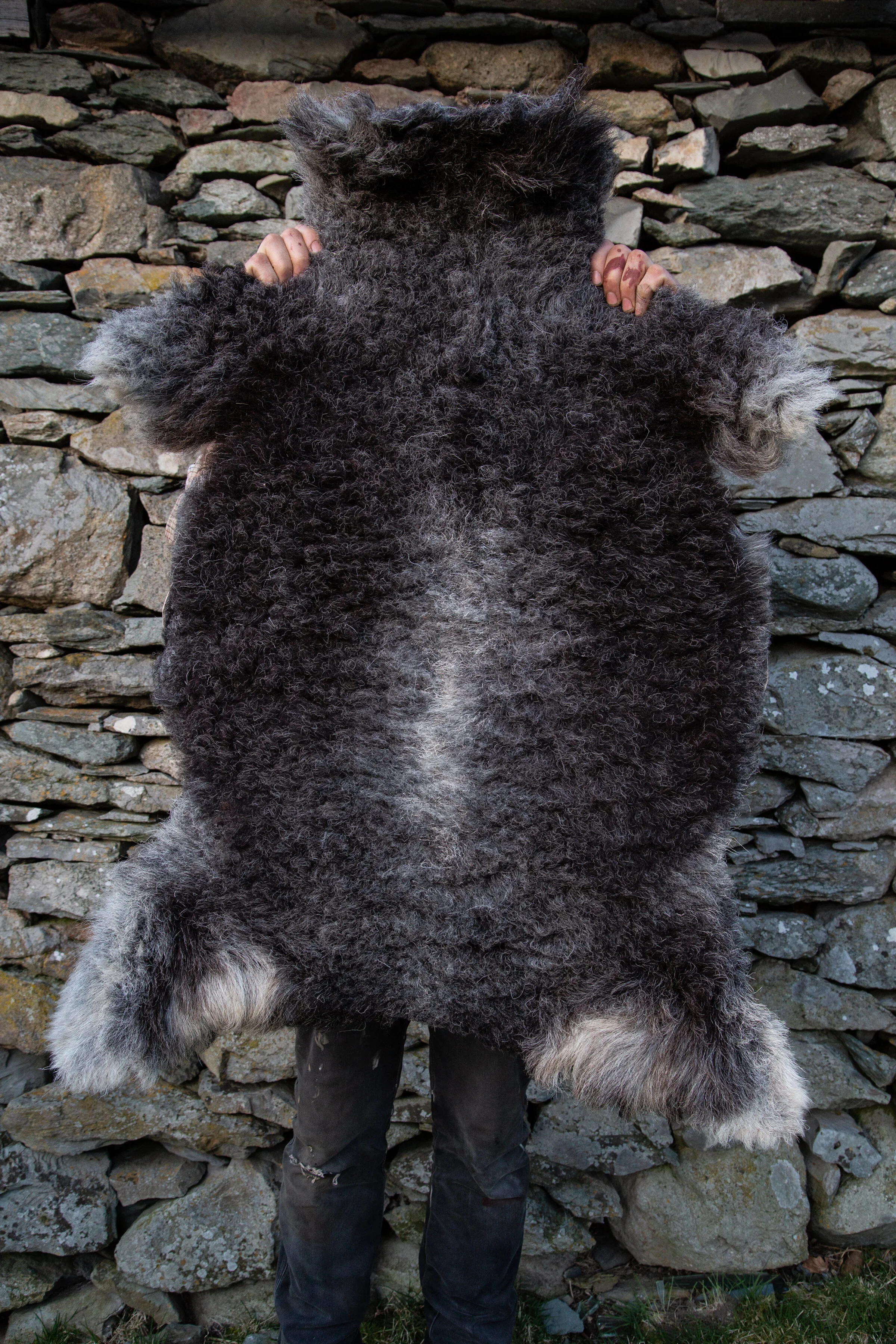 SHEEPSKINMARCH-P439121.jpg