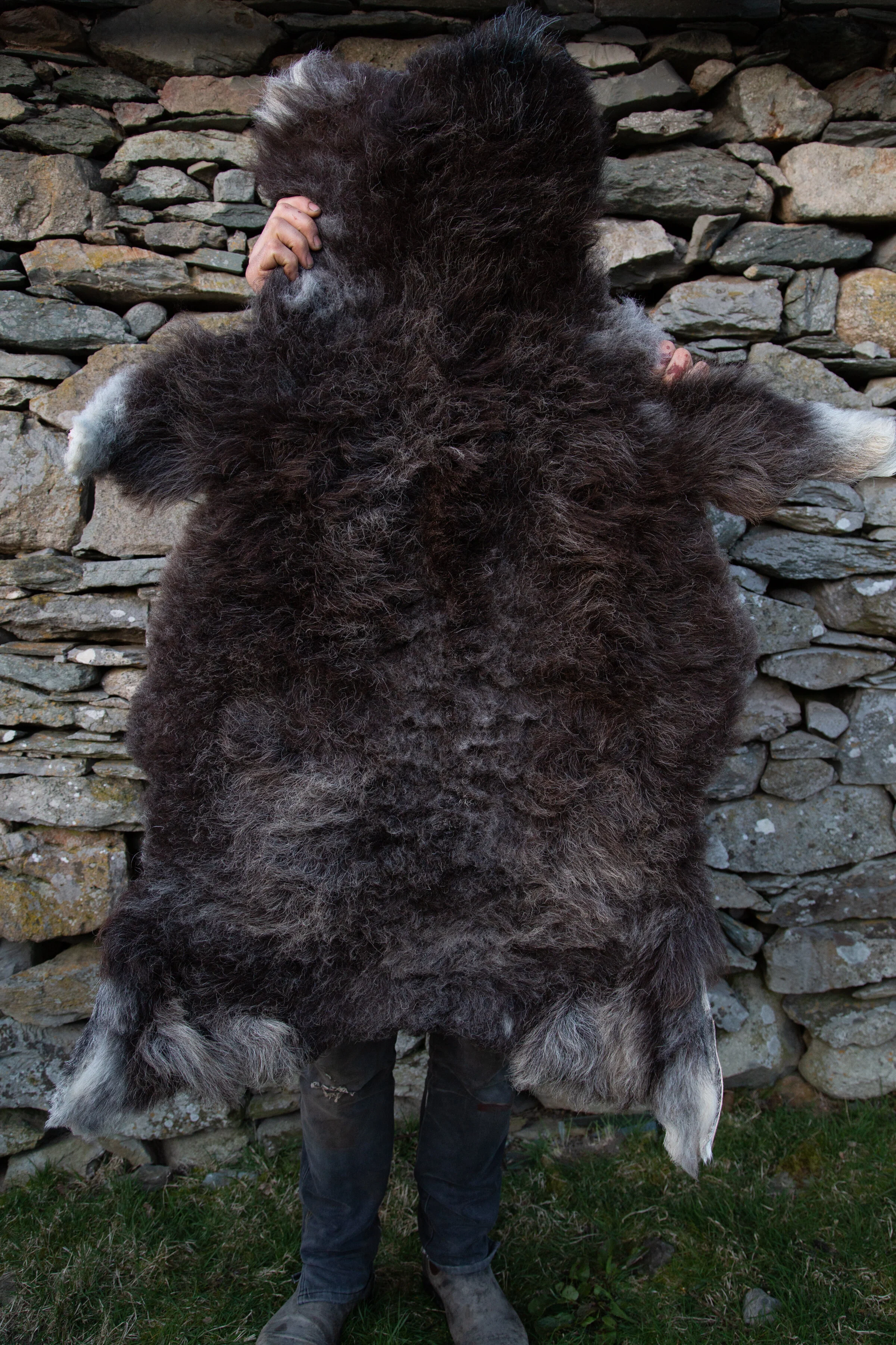 SHEEPSKINMARCH-P416121.jpg