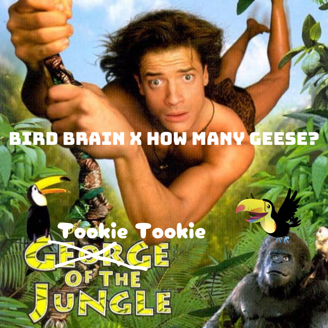 An advert for Kelly Keegan's podcast, it's a special collaboration with the How Many Geese podcast hosts, the focus of the episode is Tookie Tookie so there is an image from George of the Jungle.