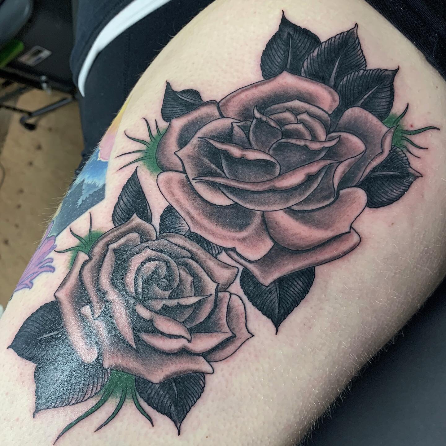 Roses by @mattquale dm him for consultation appointments