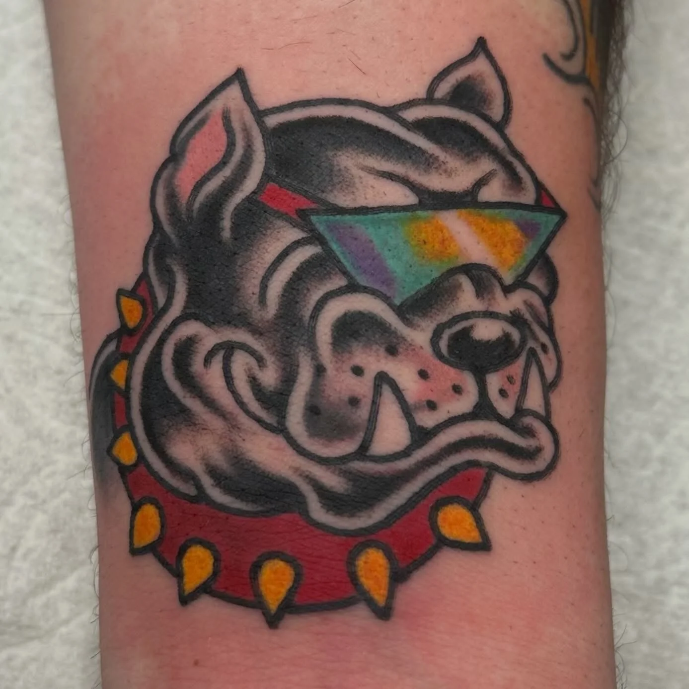 🐶 by @today.jr #spokanetattoos #dogtattoo #ironandgoldtattoo